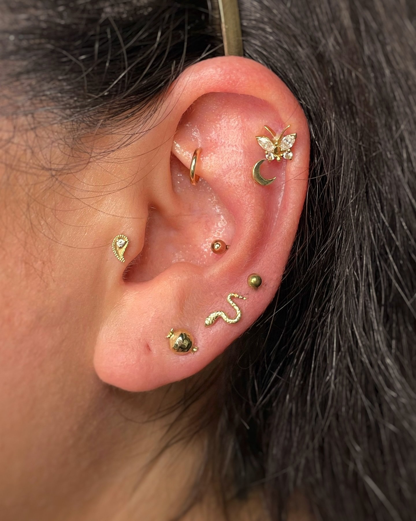 I had the pleasure of adding this golden mid helix to this clients ✨ stunning ✨collection a while back!
Dm to talk about your next piercing!
.
.
.
#piercing #piercings #tattoo #bodypiercing #pierced #piercer #tattoos #me #safepiercing #inked #ink #
