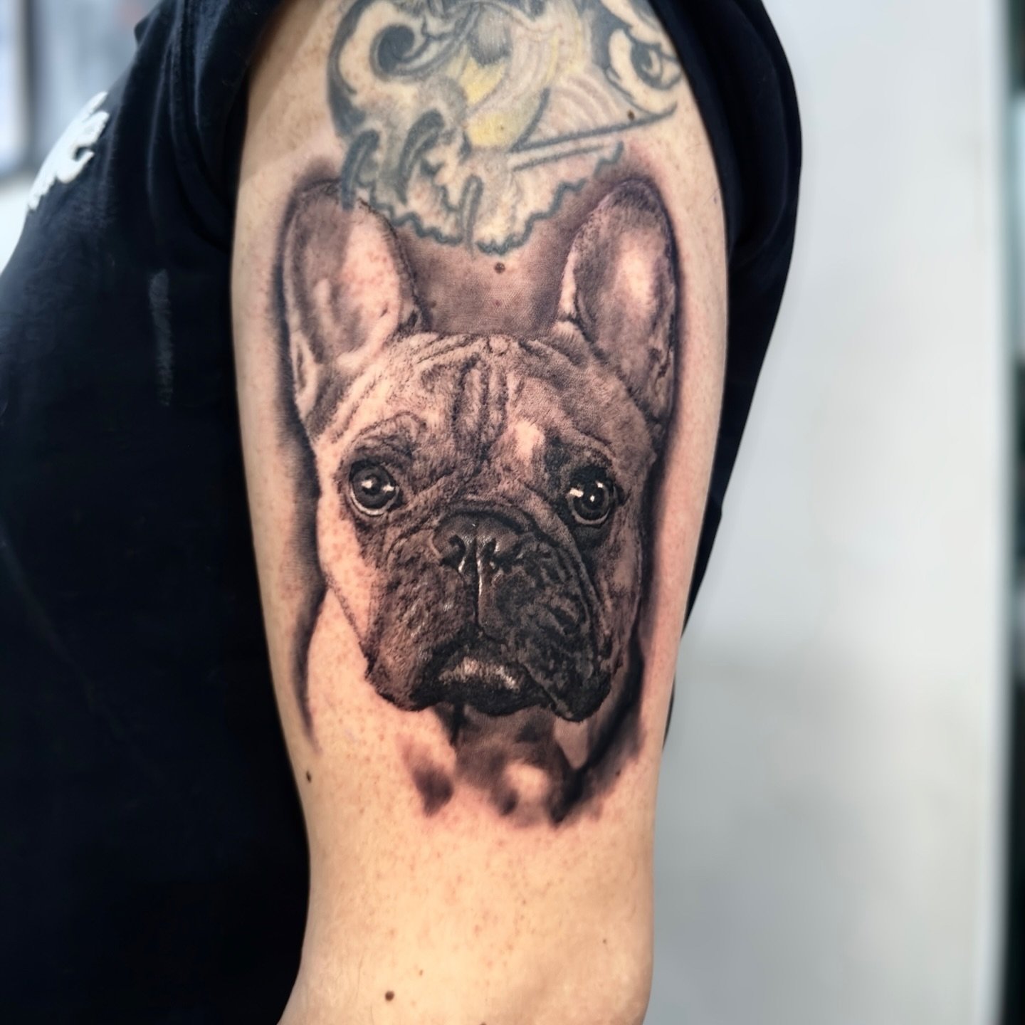 ***Swipe for video** Loved being able to do Lee’s French bulldog! Give me all the dog portraits! 🐕
**DM or email inkbyjord@gmail.com to book!
Done using ** @sunskintattoo
** @pantheraink
** @cheyenne_tattooequipment
** @bheppo
** @ba
