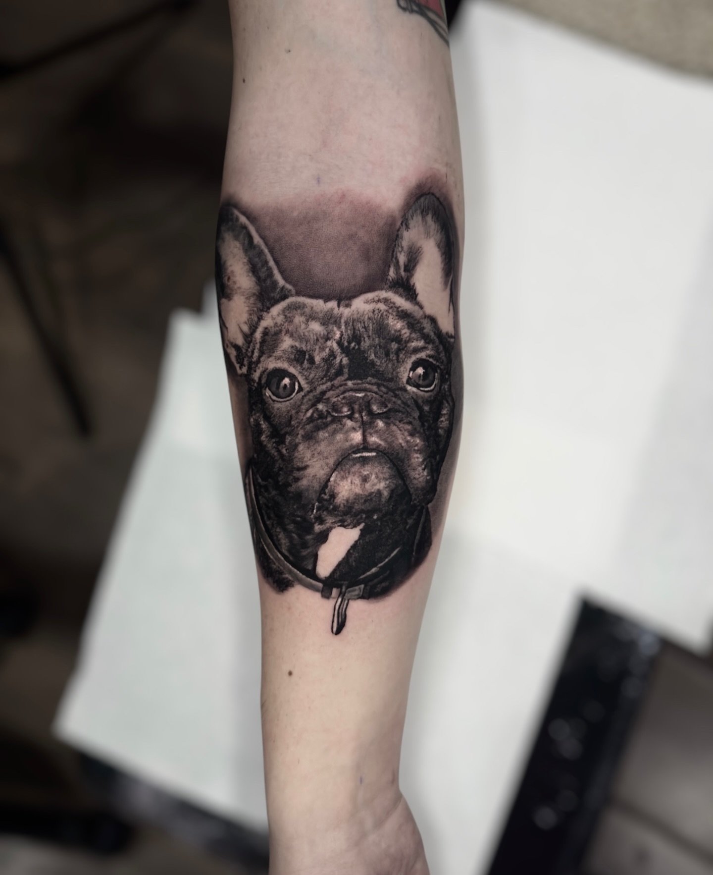 ** Really enjoyed this! More animals welcome. 🤝
**DM or email inkbyjord@gmail.com
Done using- @pantheraink
- @sunskintattoo
- @cheyenne_tattooequipment
- @bheppo
- @holymountainsupplies
- @vladbladirons
#tattoos #tattoo #tattooartists