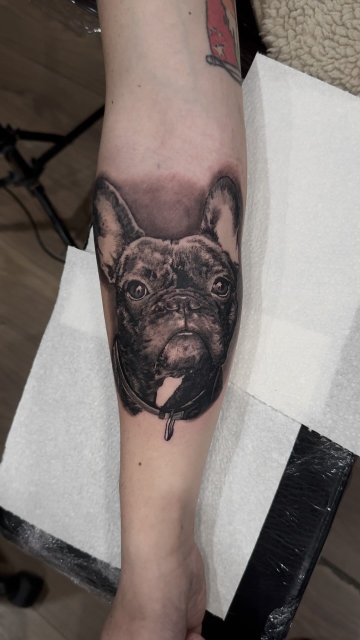 Loved doing this.🐕 Dog portraits are always welcome!
(Excuse my shadow)
** DM or Email inkbyjord@gmail.com to book**
** Done using @sunskintattoo TCJ
@worldfamousink @thomascarlijarlier
Volcanic tones
@pantheraink
@cheyenne_tattooequ