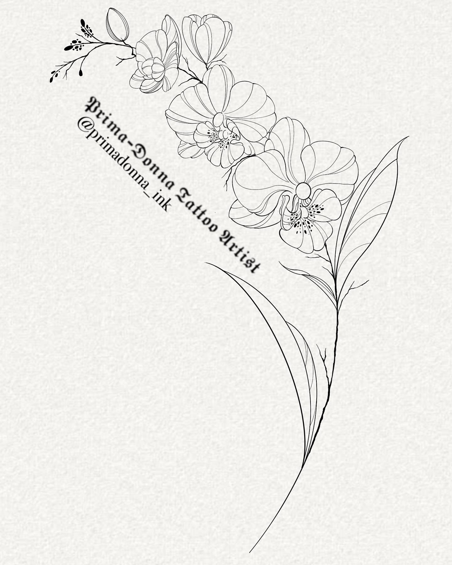 Some fineline flower designs I would love to do! DM me to reserve 🌸
-
These are medium/large size designs! if you are interested in smaller flowers dm me to have a custom design made!
#tattooapprentice #tattoo #tattooscork #wannabetattoo #wannadota