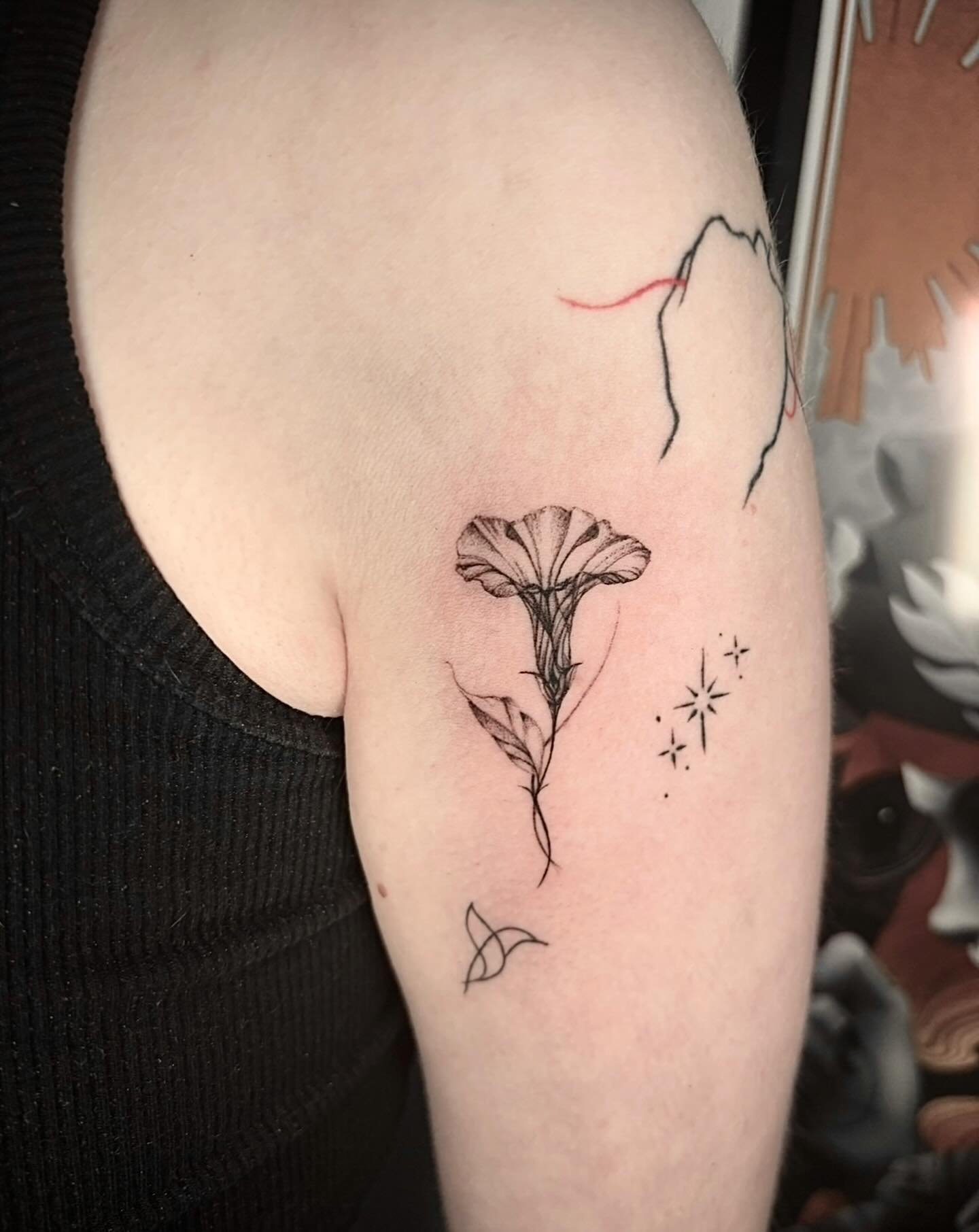 Mini Xray morning glory!
-
If you are interested in something similar, DM me!
Done using
@butterluxe_uk
@cheyenne_tattooequipment
@kwadron_tattoo_store
@dynamiccolor
#xraytattoo #xrayflower #xrayflowertattoo #finelinerart
#finelinetattoo #ta