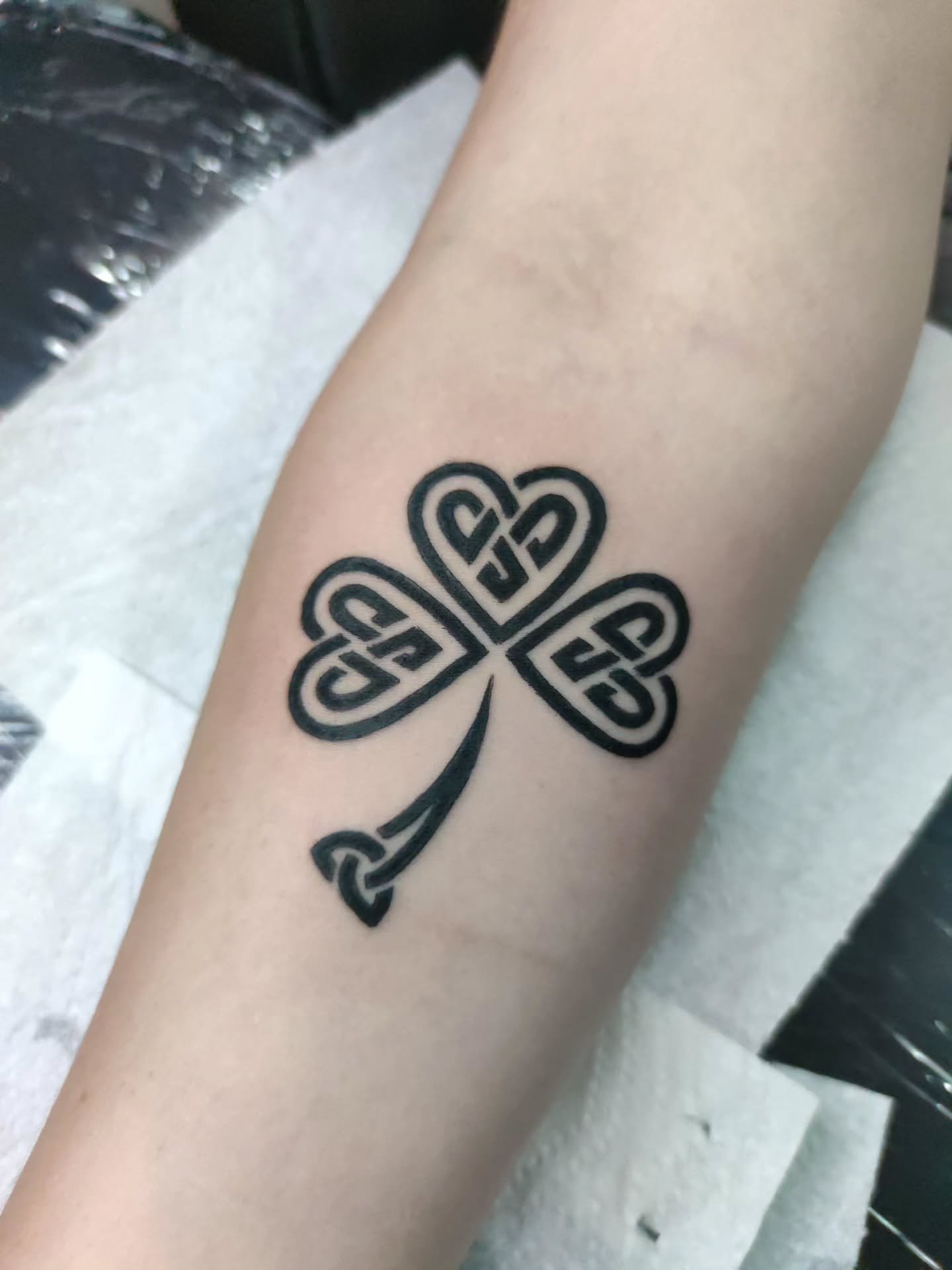 Lil walk in from today. ☘️
•
•
•
•
•
#shamrock #celtic #cekticknot #corkcity #chasingghosts #rox__tattoo