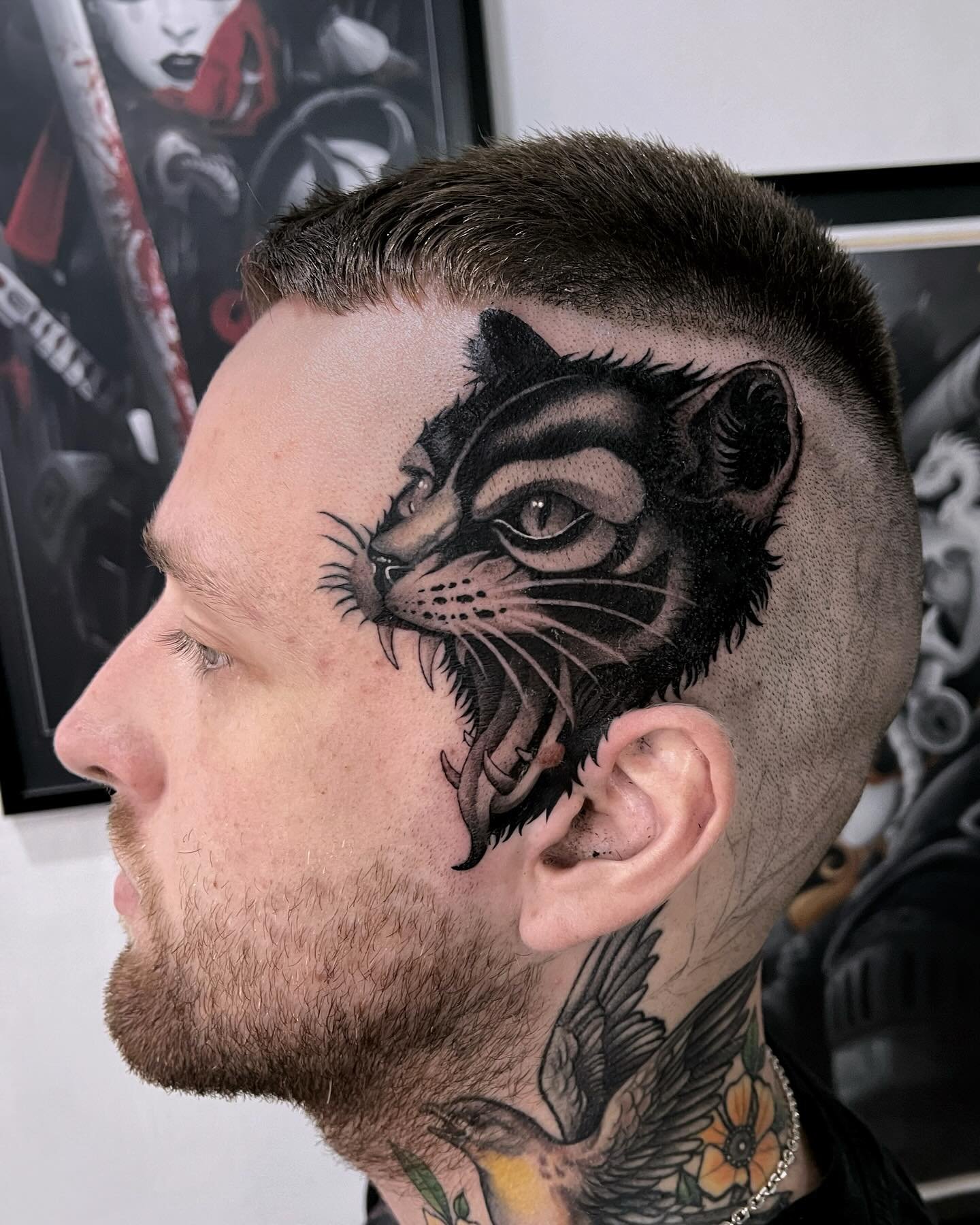 In progress head banger (swipe to see the inspiration)
.
Done using:
@vladbladirons
@ghostcartridges
@butterluxe_uk
@rawtattoosupplies
.
.
.
.
#blackandgrey #tattoos #blackwork #blackandgreytattoo #totaltattoomagazine #neonsign #cat #tattooofthed