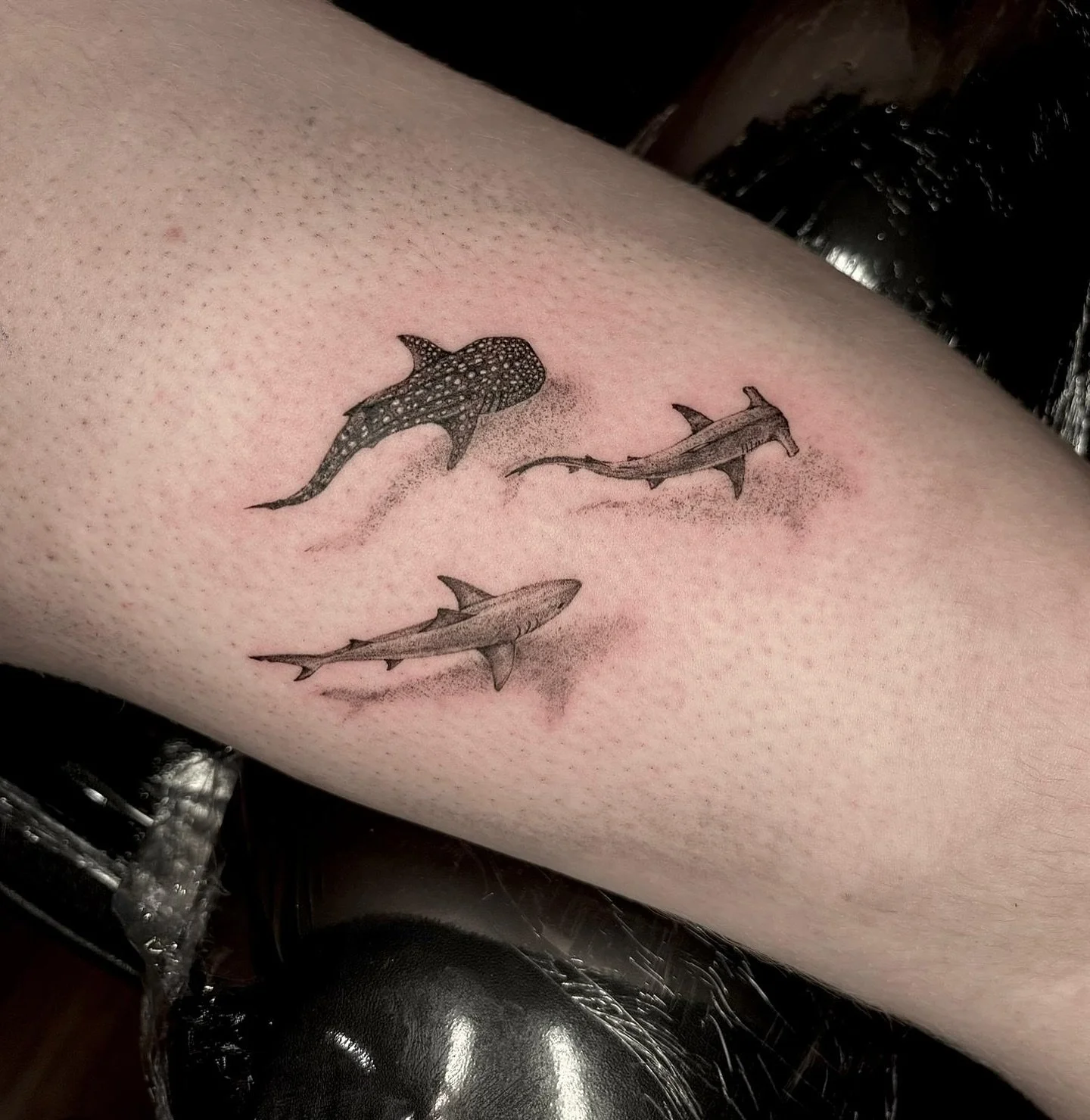 Did you know a group of sharks is called a Shiver?? We love these ones by @primadonna_ink 🦈 

To book: dm @primadonna_ink / @chasingghostscork 
.
.
.
#tattooflashsheet#tattooflashart#sonic#tattooflash#blackworkers#blackandgrey#handstyle#handstyler#t
