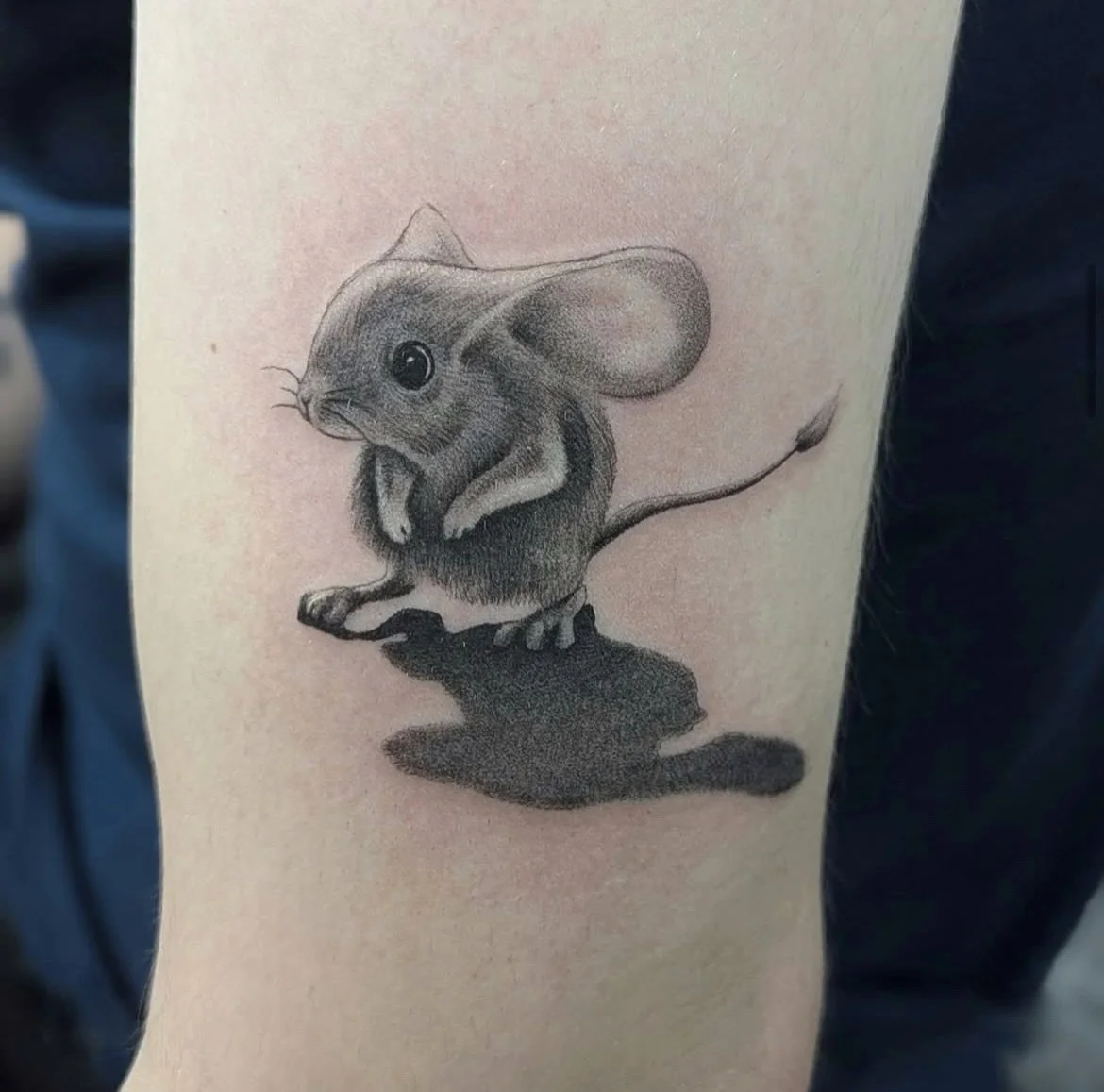 @paulina__tattoo knocking out the cutiest little guys 🖤 
To book; Dm @paulina__tattoo / @chasingghostscork 
.
.
.
#tattoo #tattoostudio #cutetattoos #tattooartist #tattooed