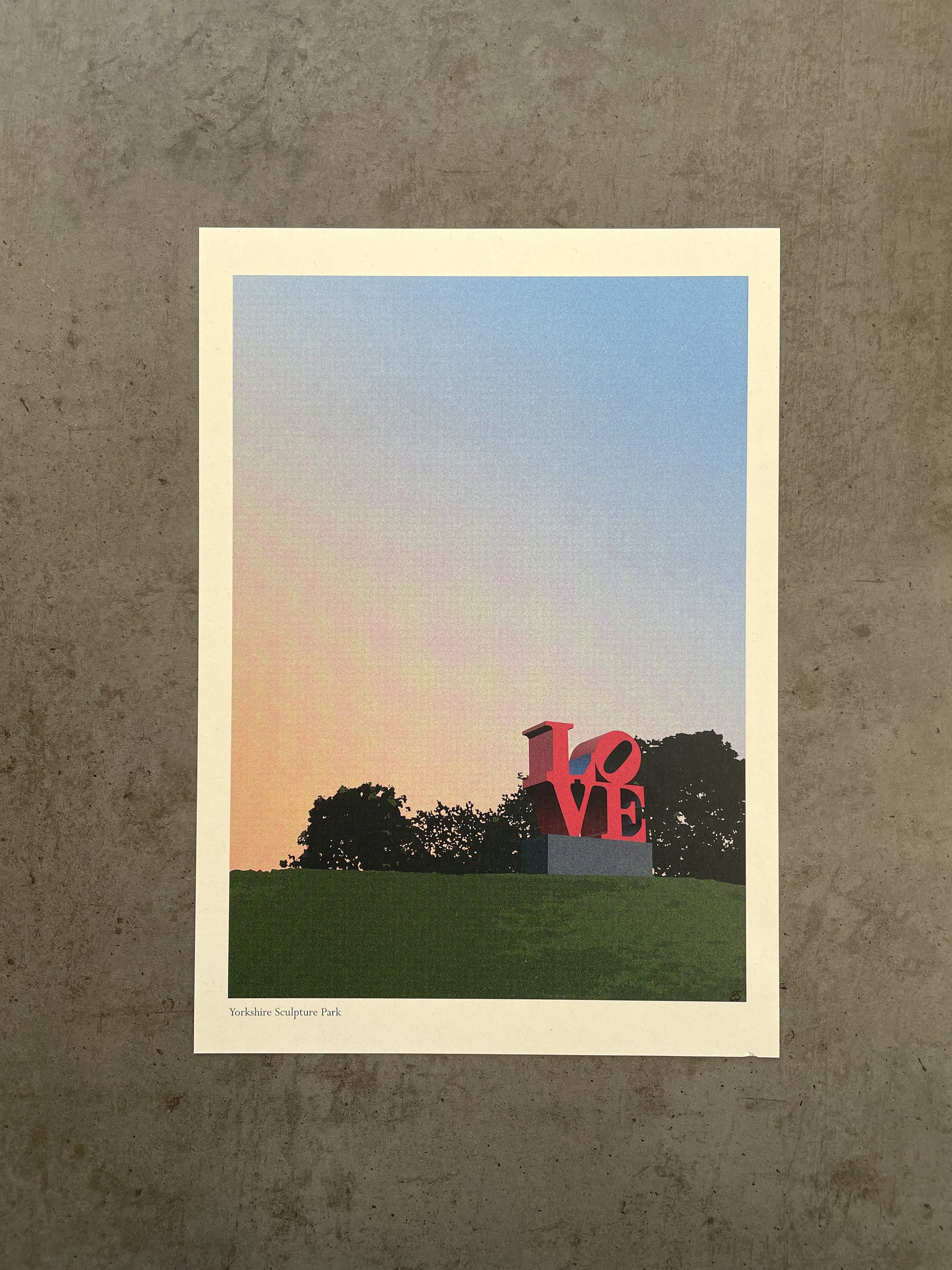 YSP.jpg