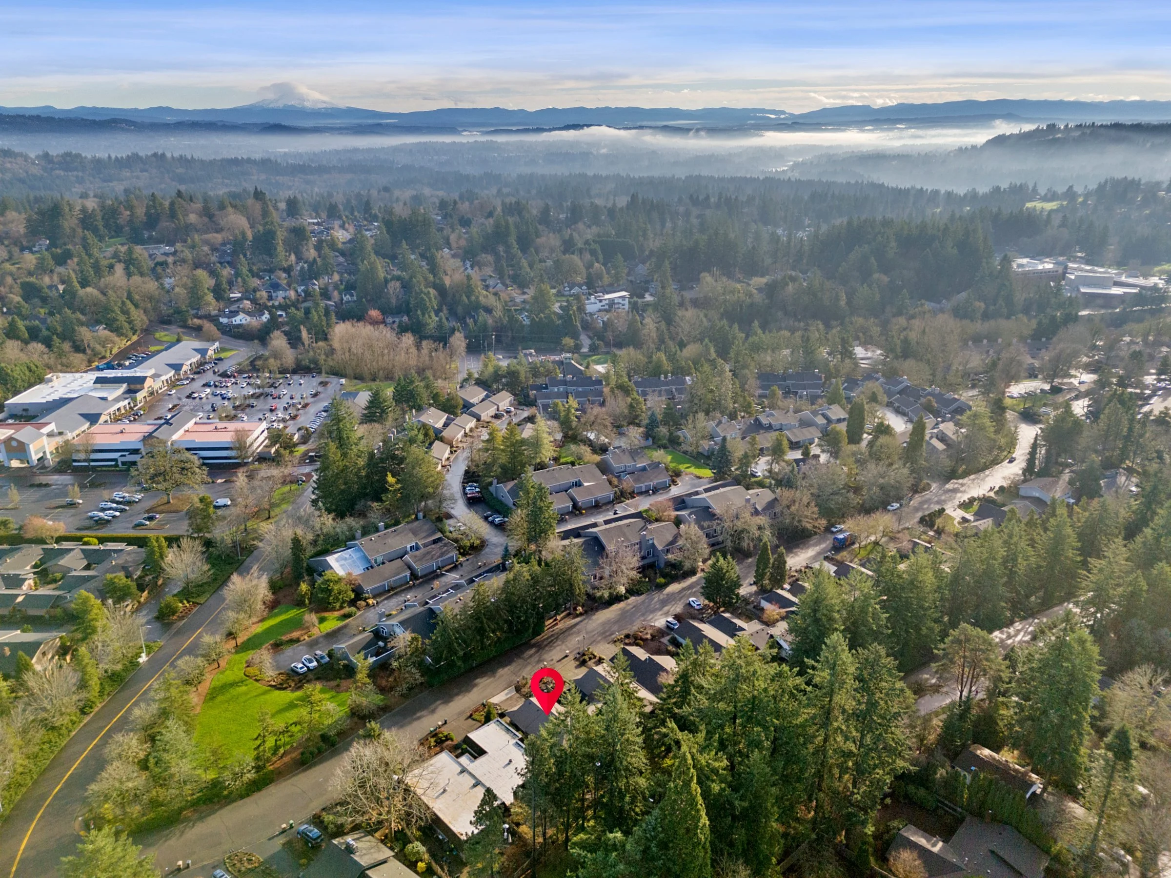 DJI_20260103101405_0071_D copy.jpg