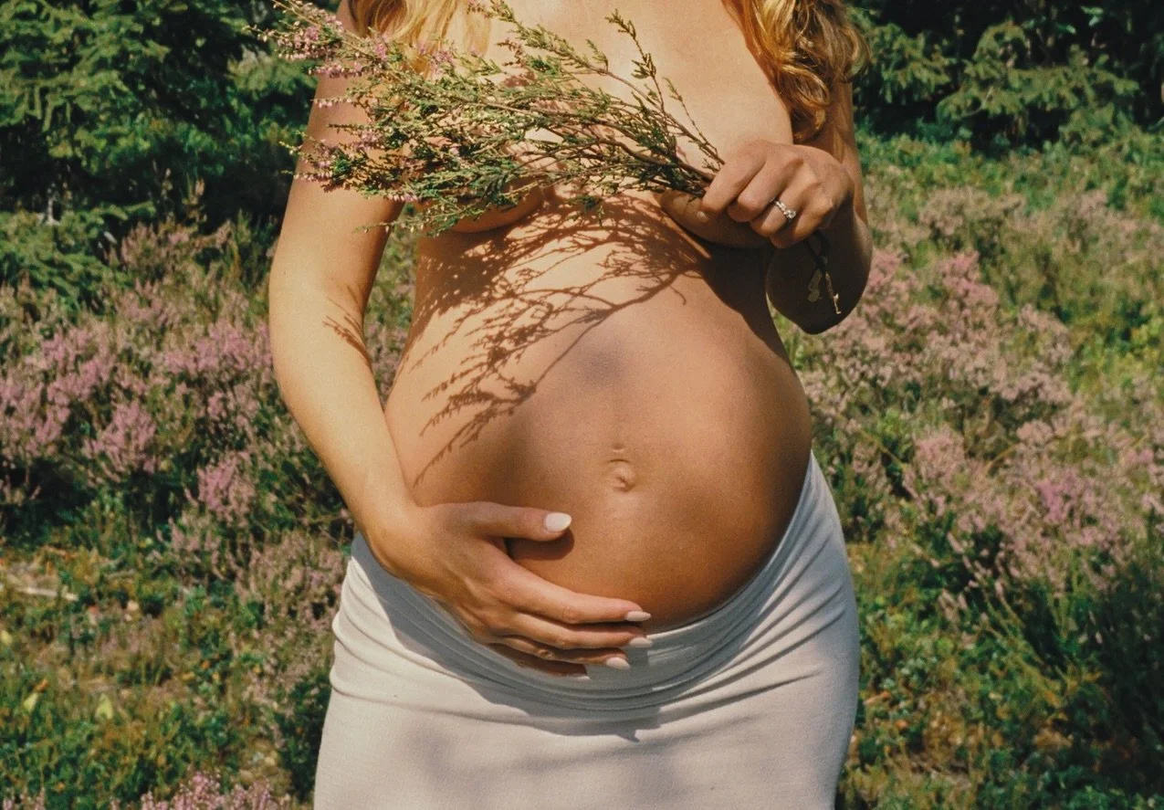 🎞️🌸🌞