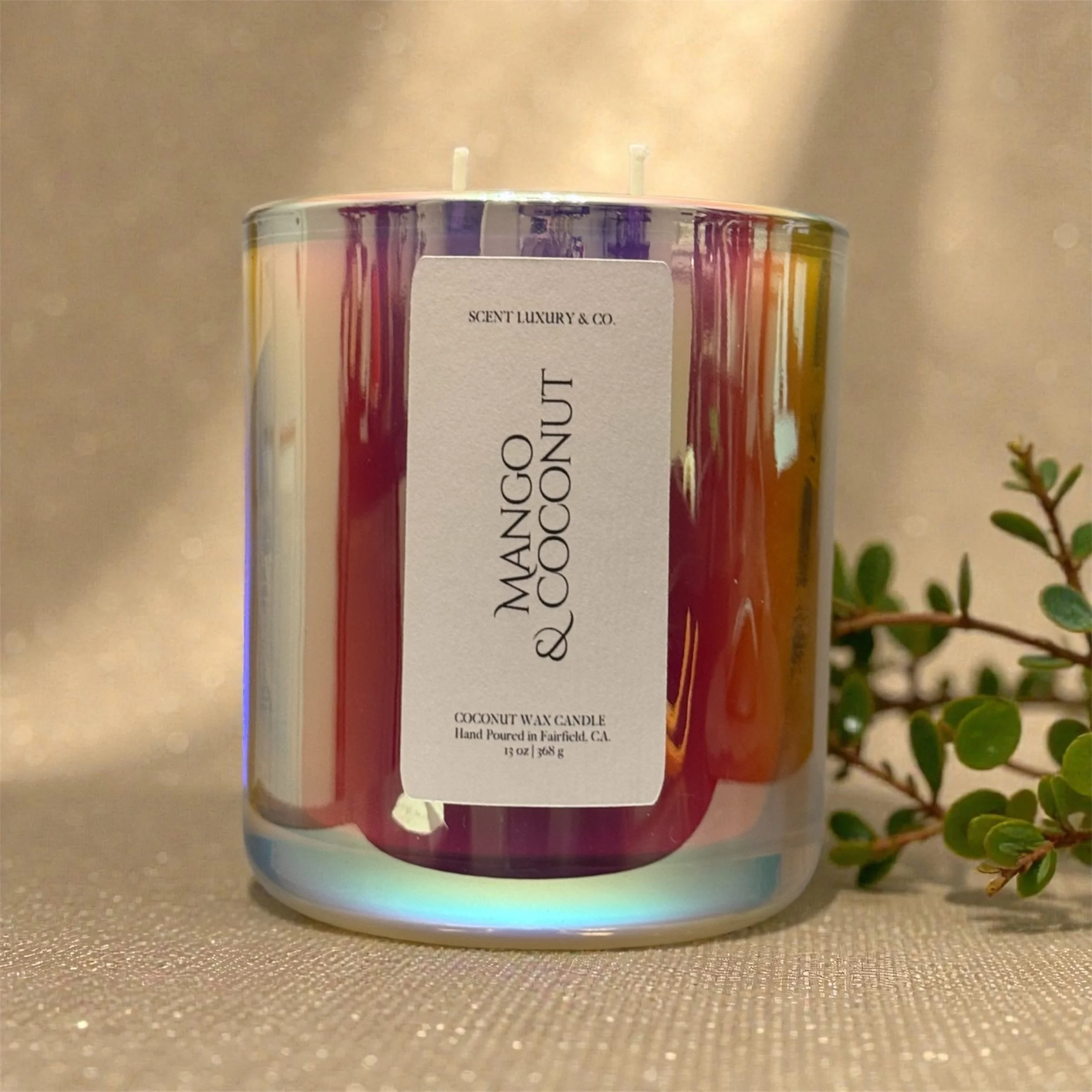 Mango & Coconut Candle- 13 oz