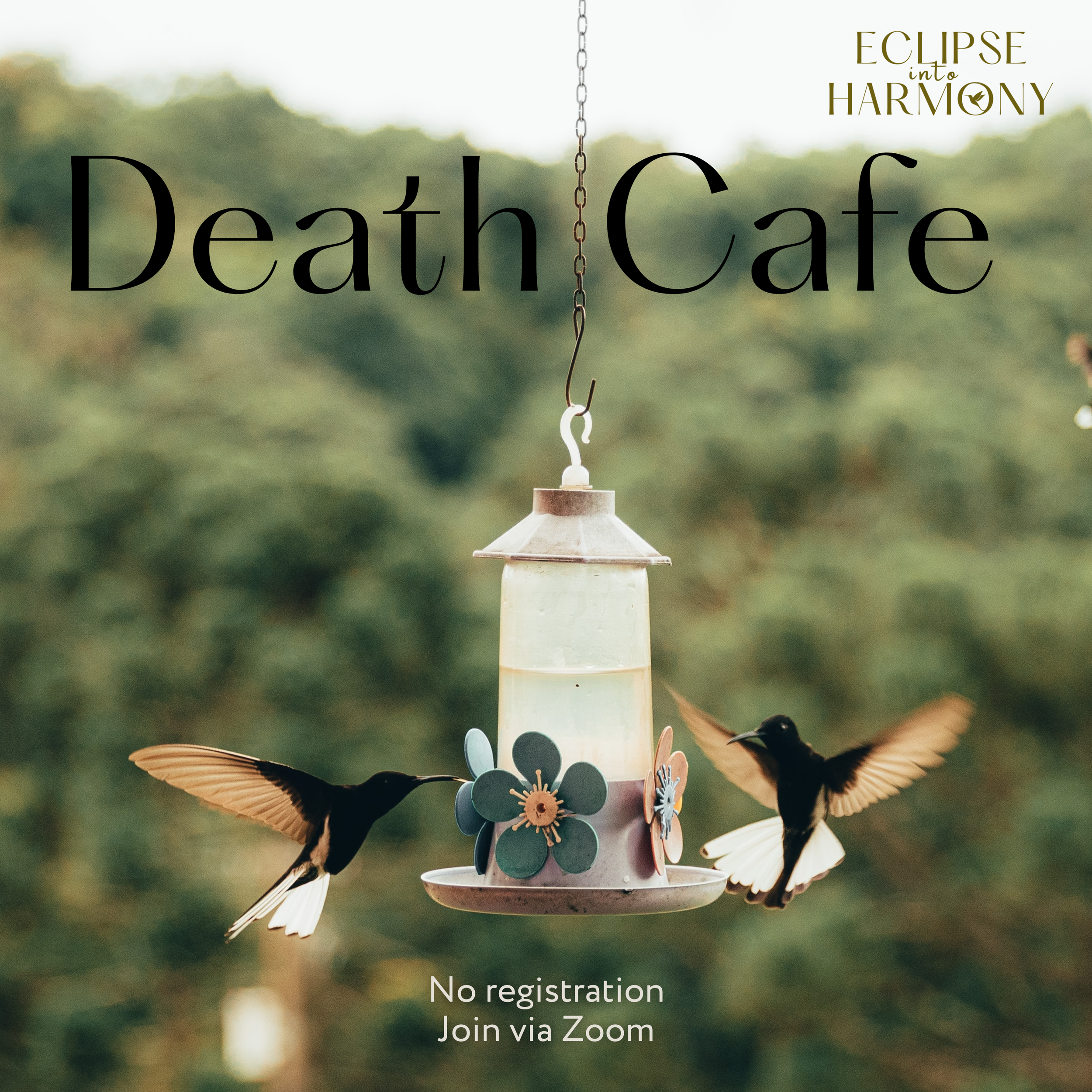Virtual Death Cafe 
