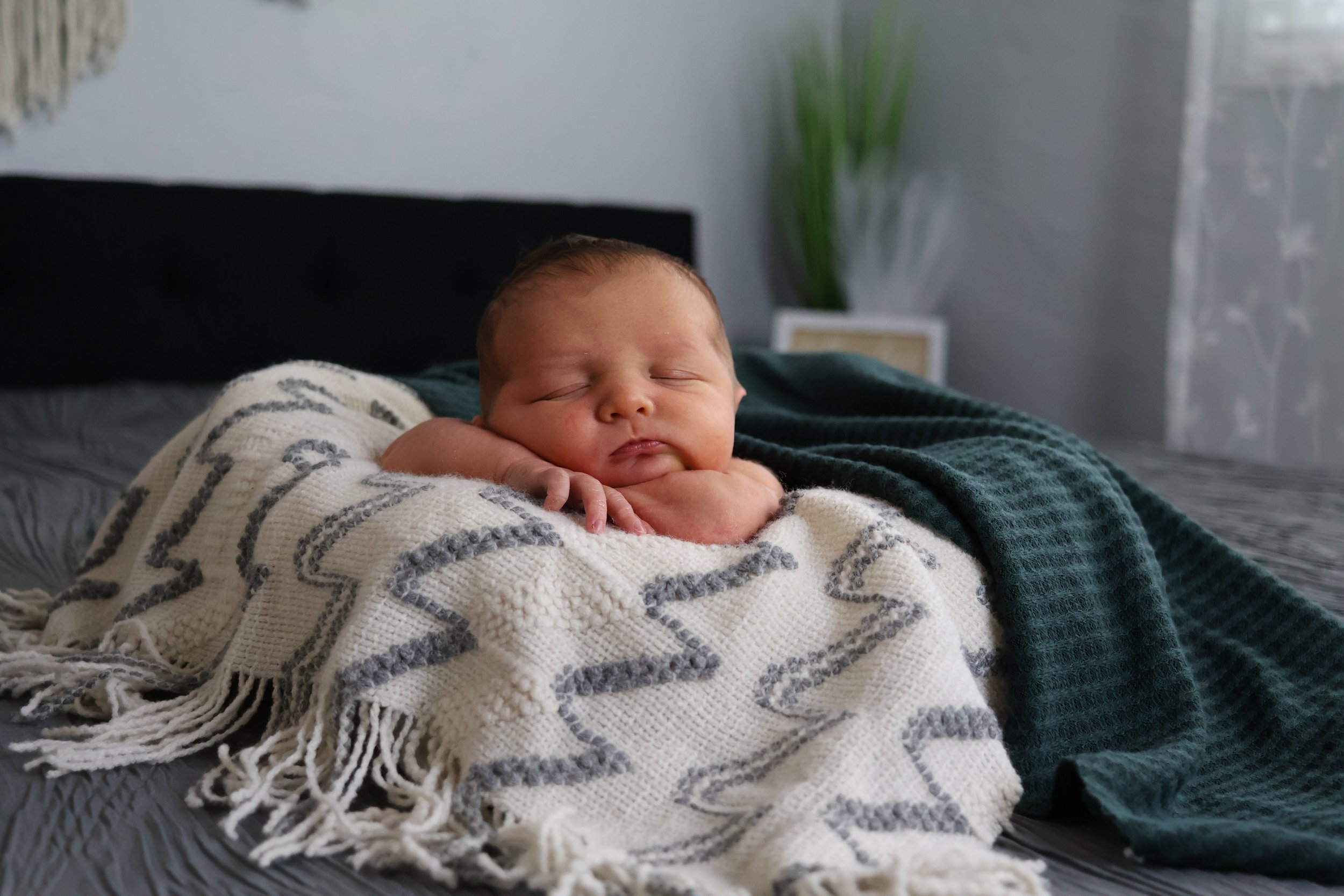 A sleeping baby lying on a bed with blankets, one white with a zigzag pattern and the other dark green, in a bedroom with a plant and picture frame in the background.