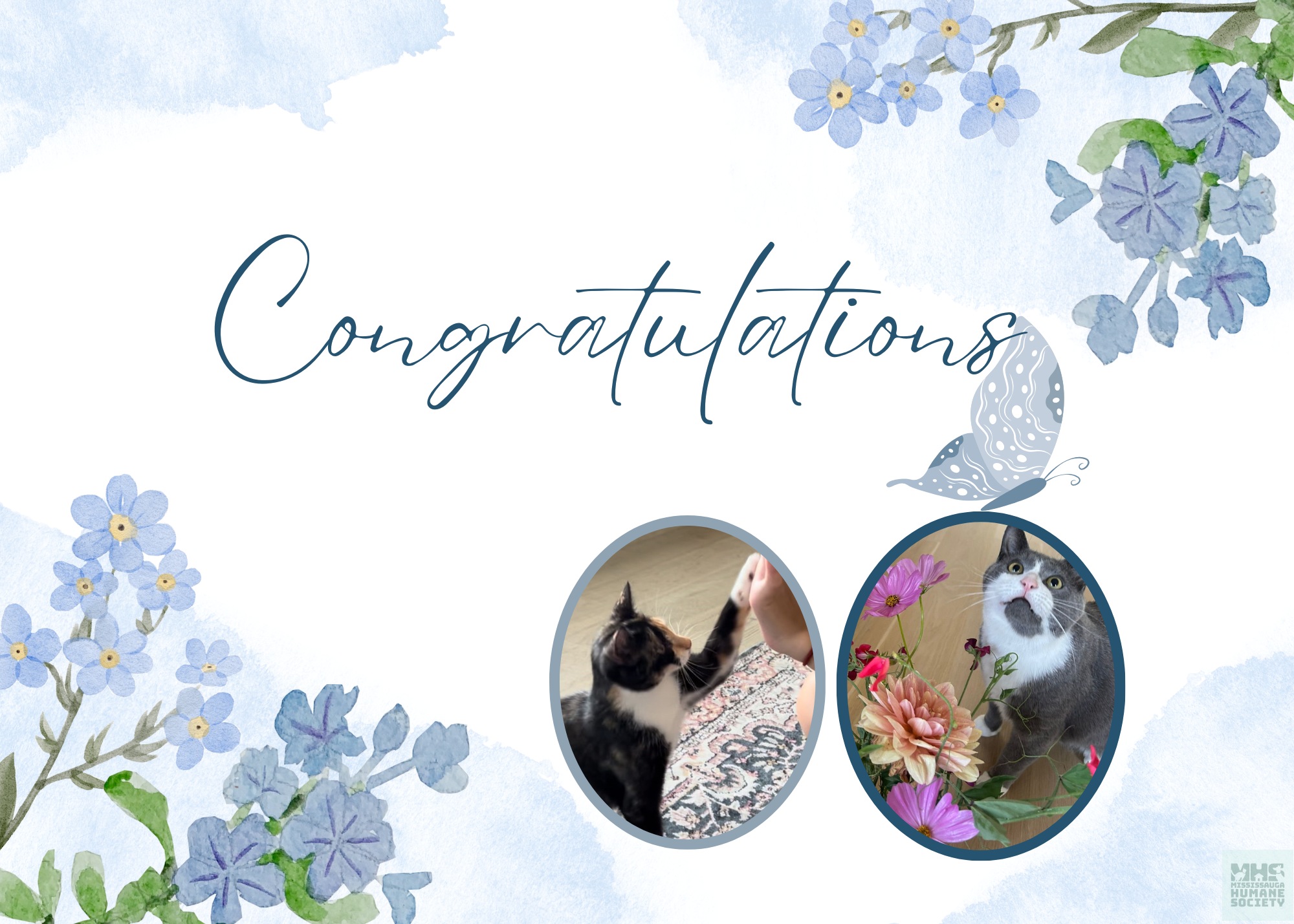 Congratulations Card.png