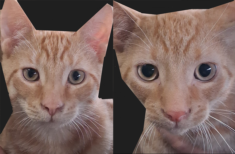 Cinder and Graham Cracker