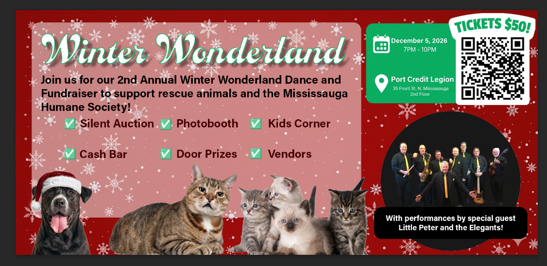 Winter Wonderland at the Port Credit Legion