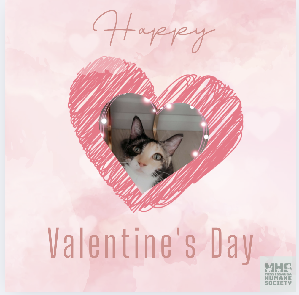 Valentines Day Card.png