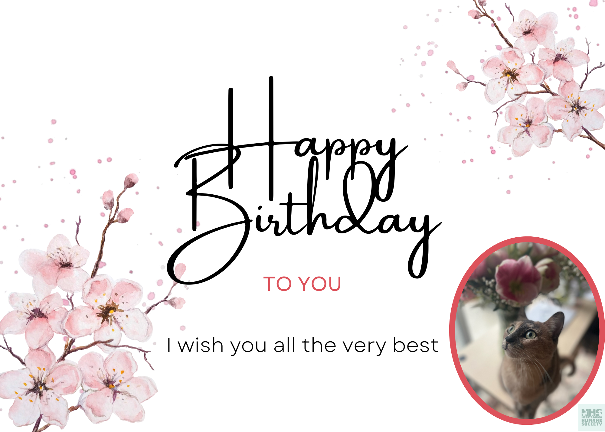 Happy Birthday Greeting Card.png