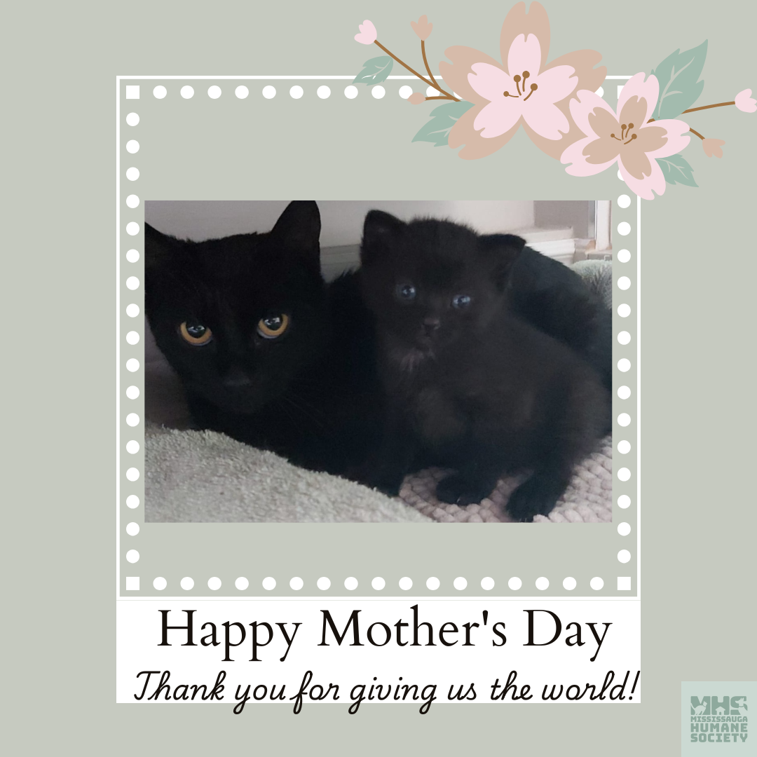 Happy Mother's Day .png