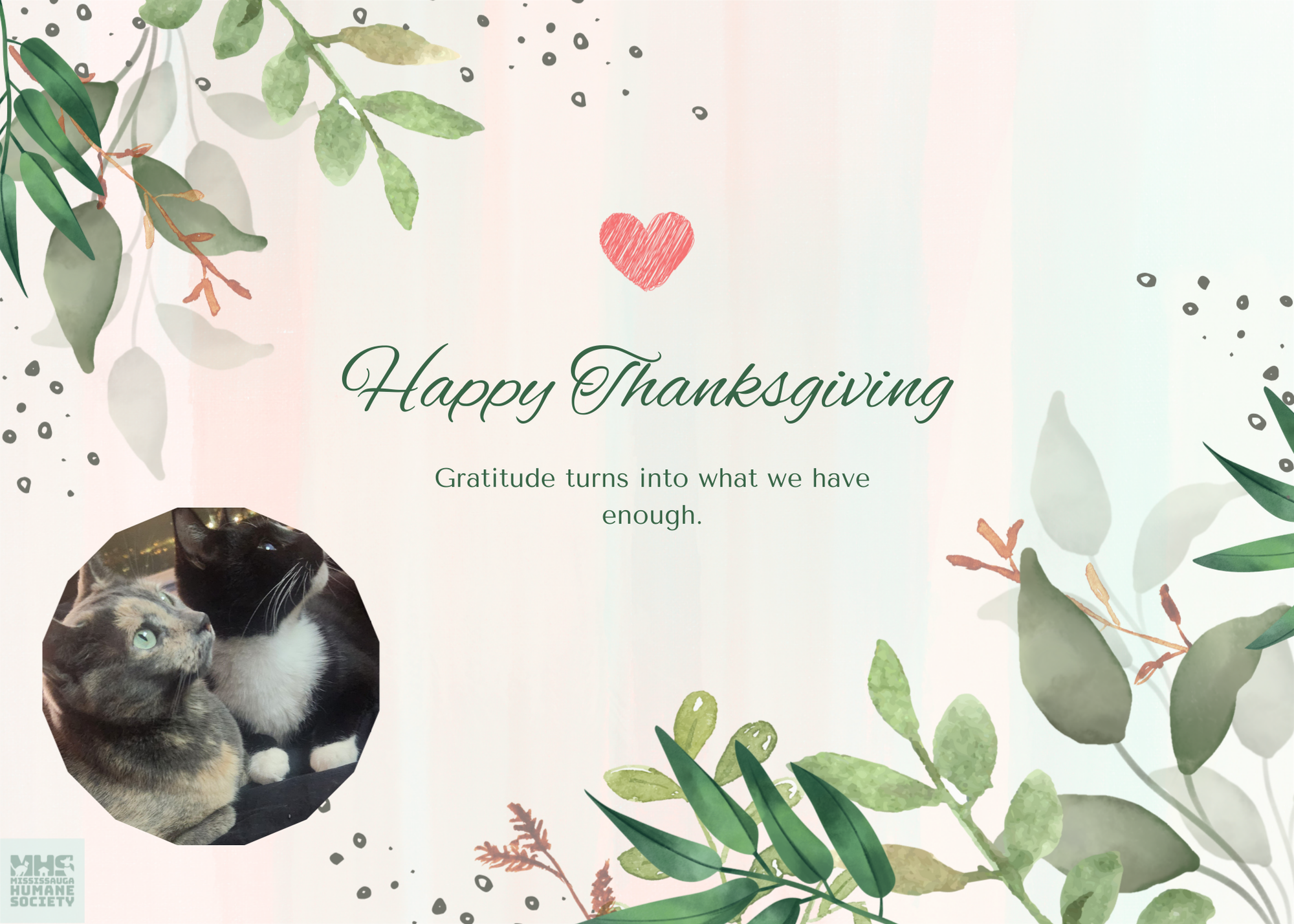 Thank You Wish Card.png