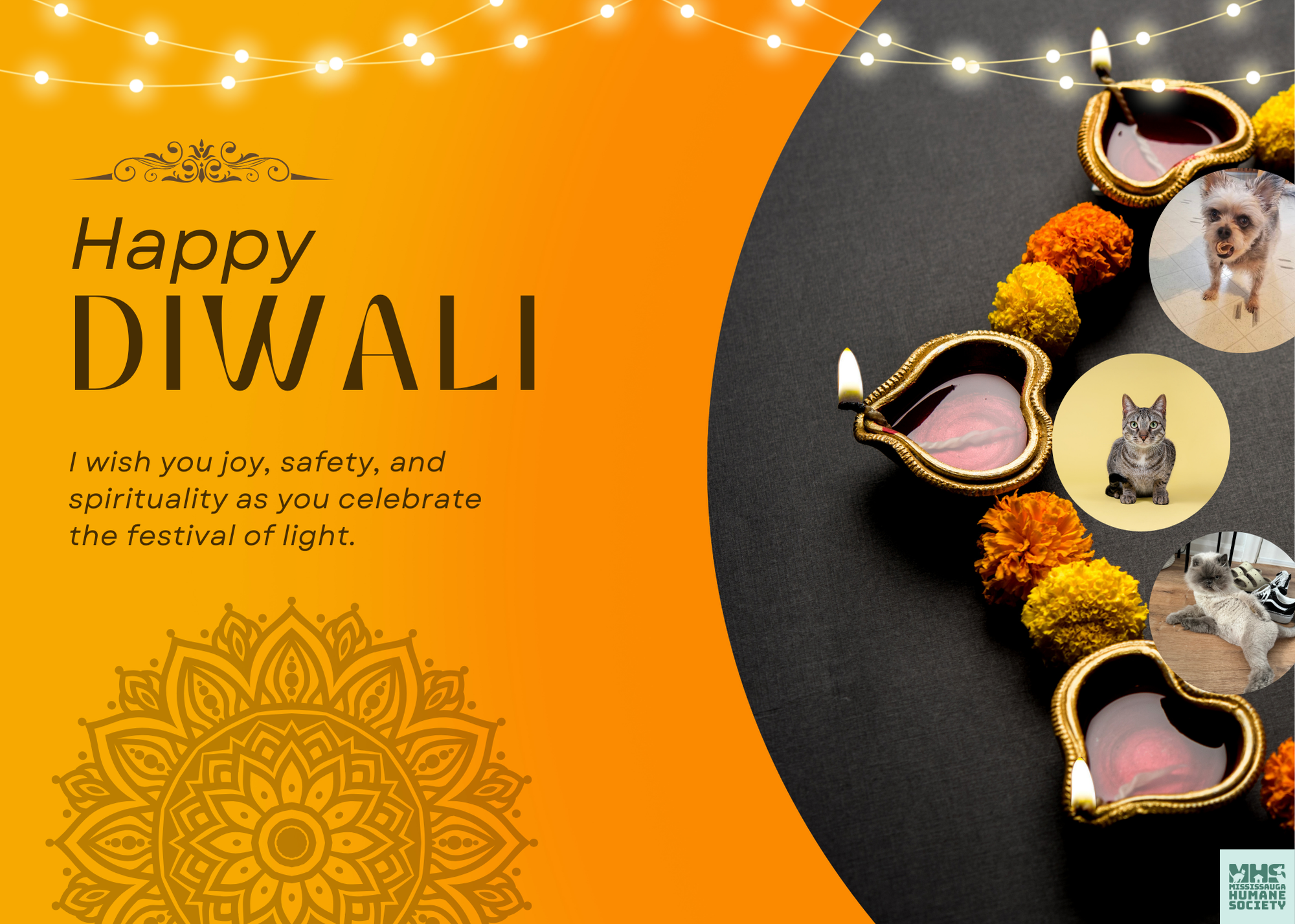 Happy Diwali Greeting Card.png