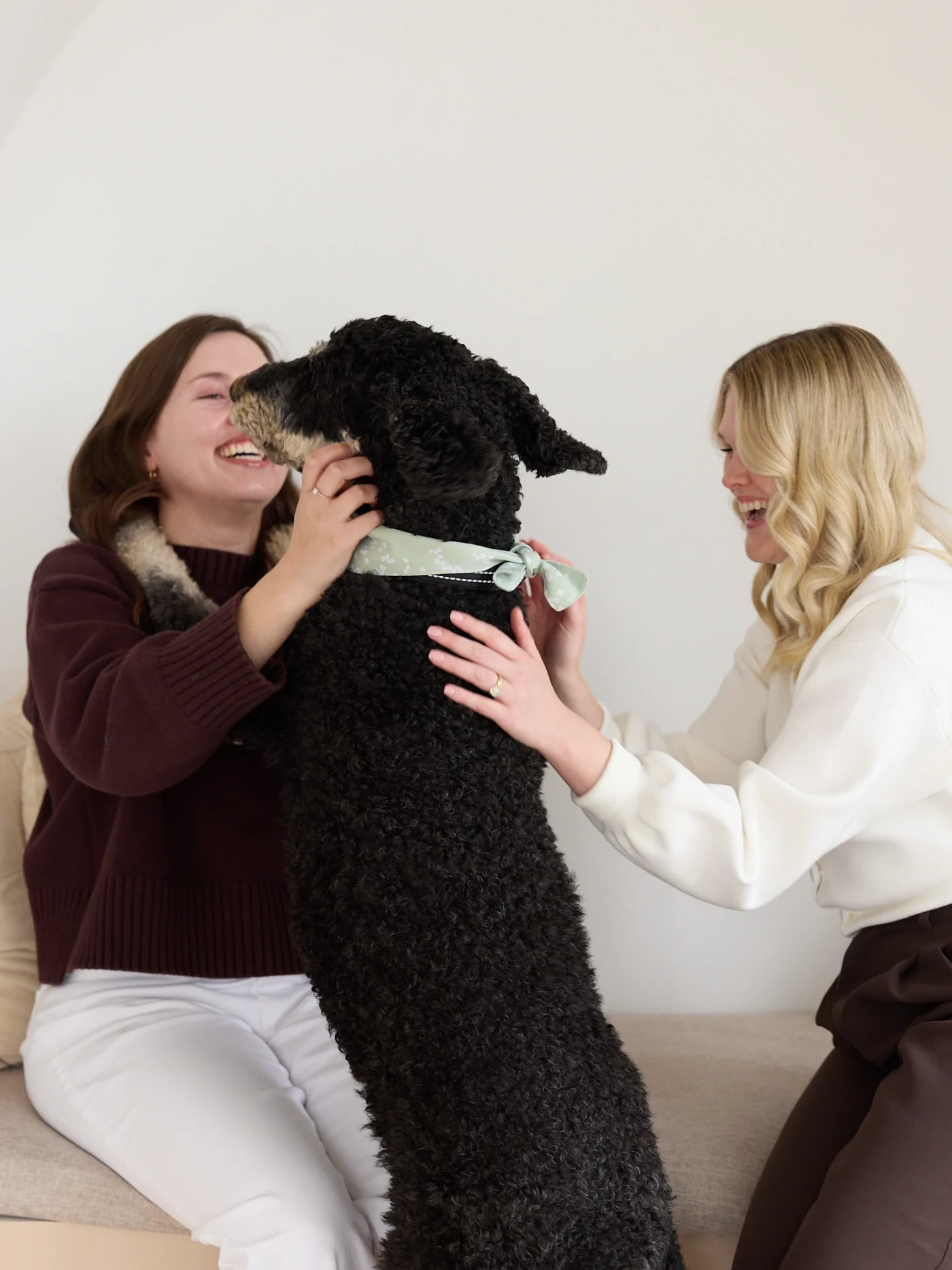 Two therapists, Mackenzie and Katelyn, of Ripple Effect Psychotherapy on a couch, laughing with a dog, Bailey.
