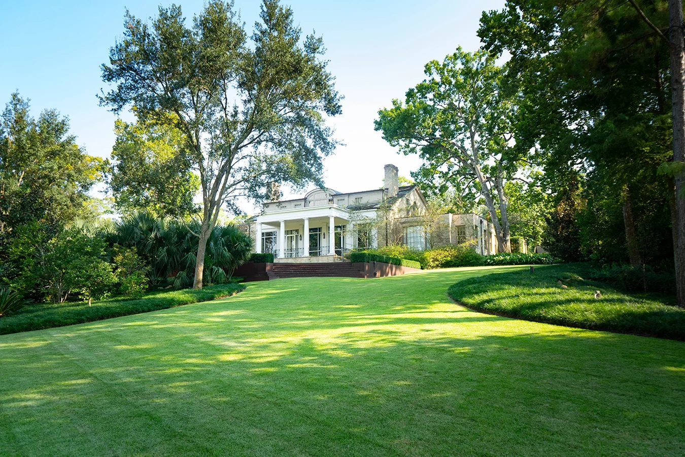 Restoring Beauty on the Bayou