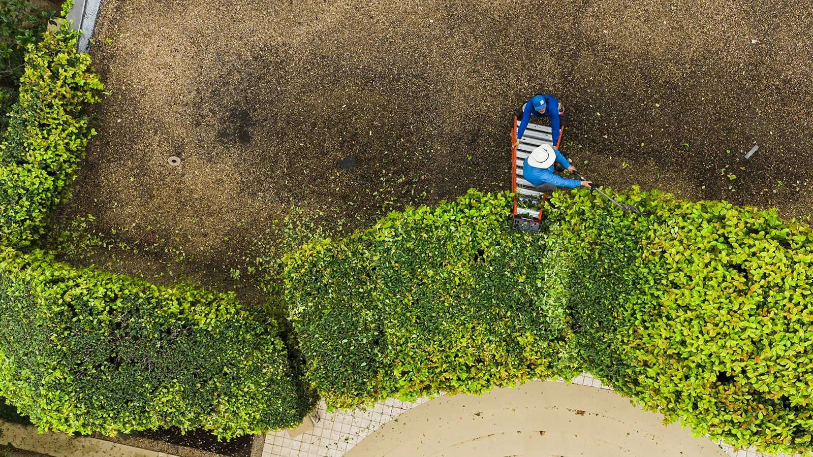 DJI_20240314114606_0885_D copy.webp