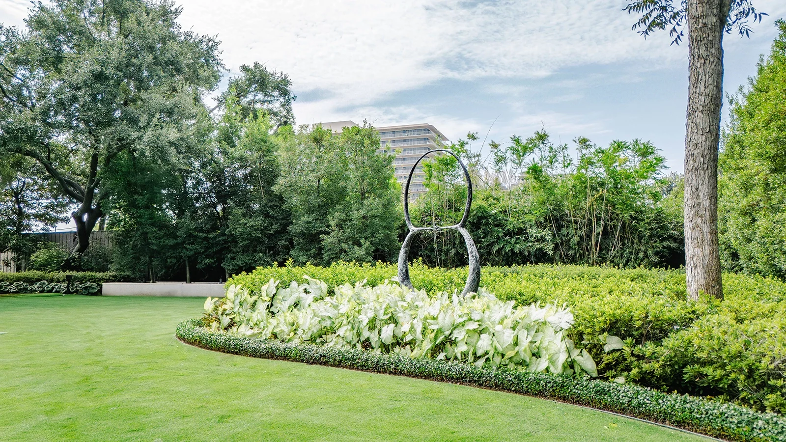 DJI_20250821111841_0008_D-Enhanced-NR copy.webp