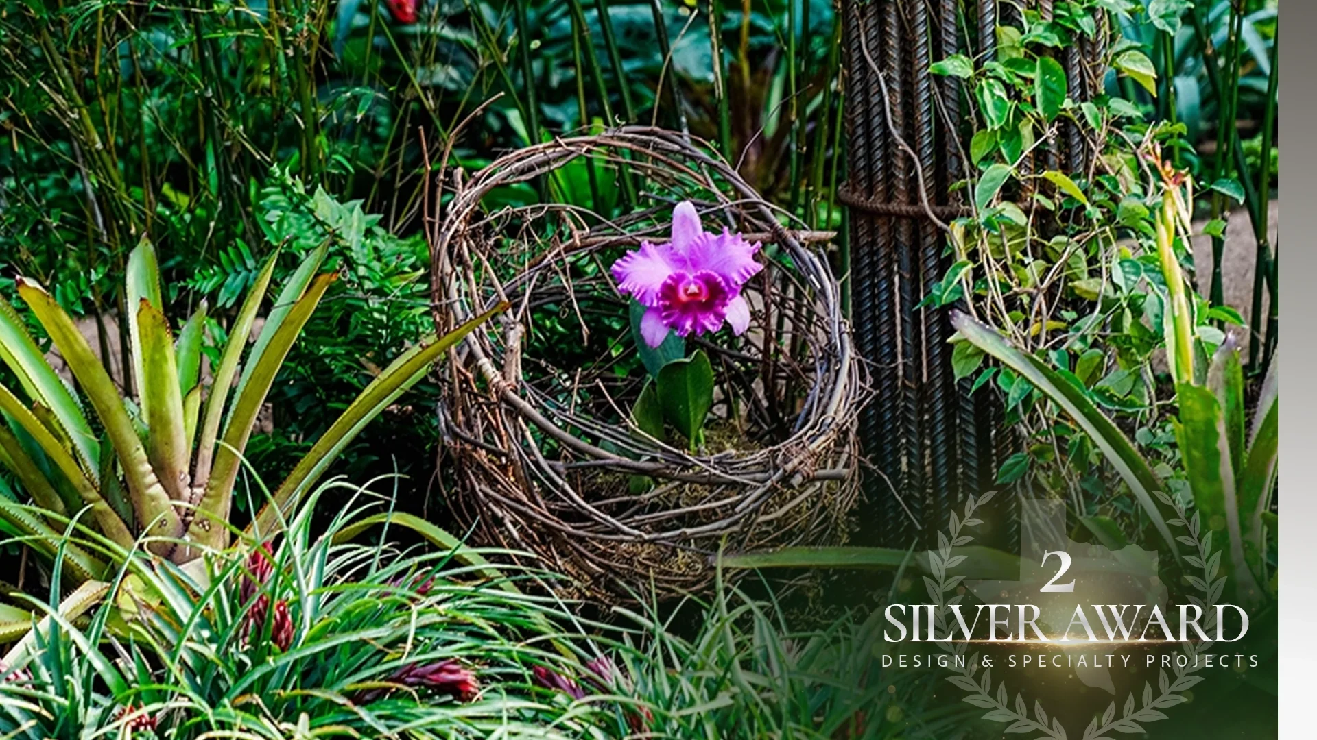 RIENZI Museum of Fine Arts: Project Overview &amp; Challenges