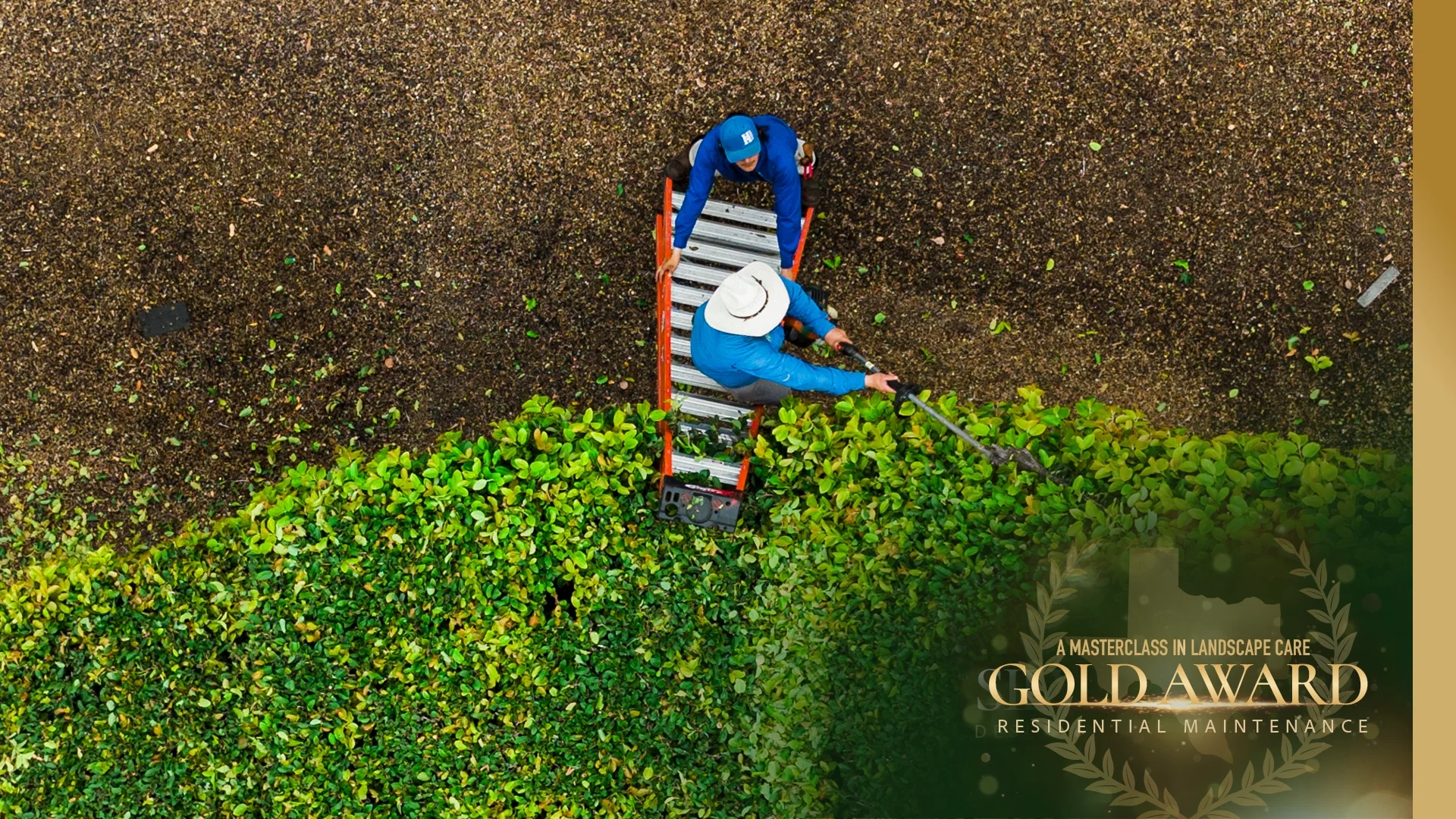 Knollwood Estate: A Masterclass in Landscape Care