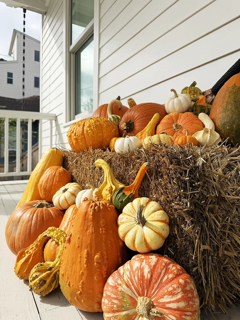 !!Fall 2025_3889 copy.webp