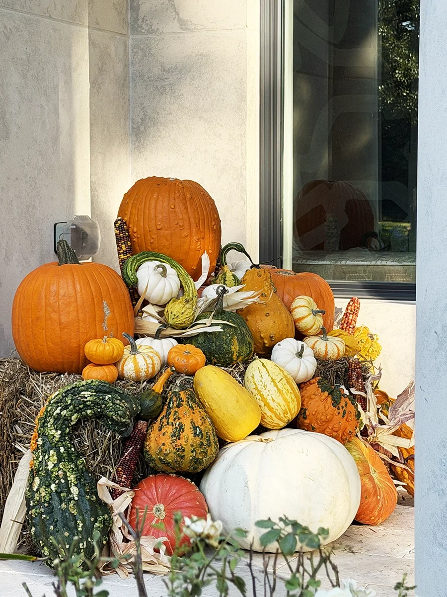 !!Fall 2025_3699 copy.webp