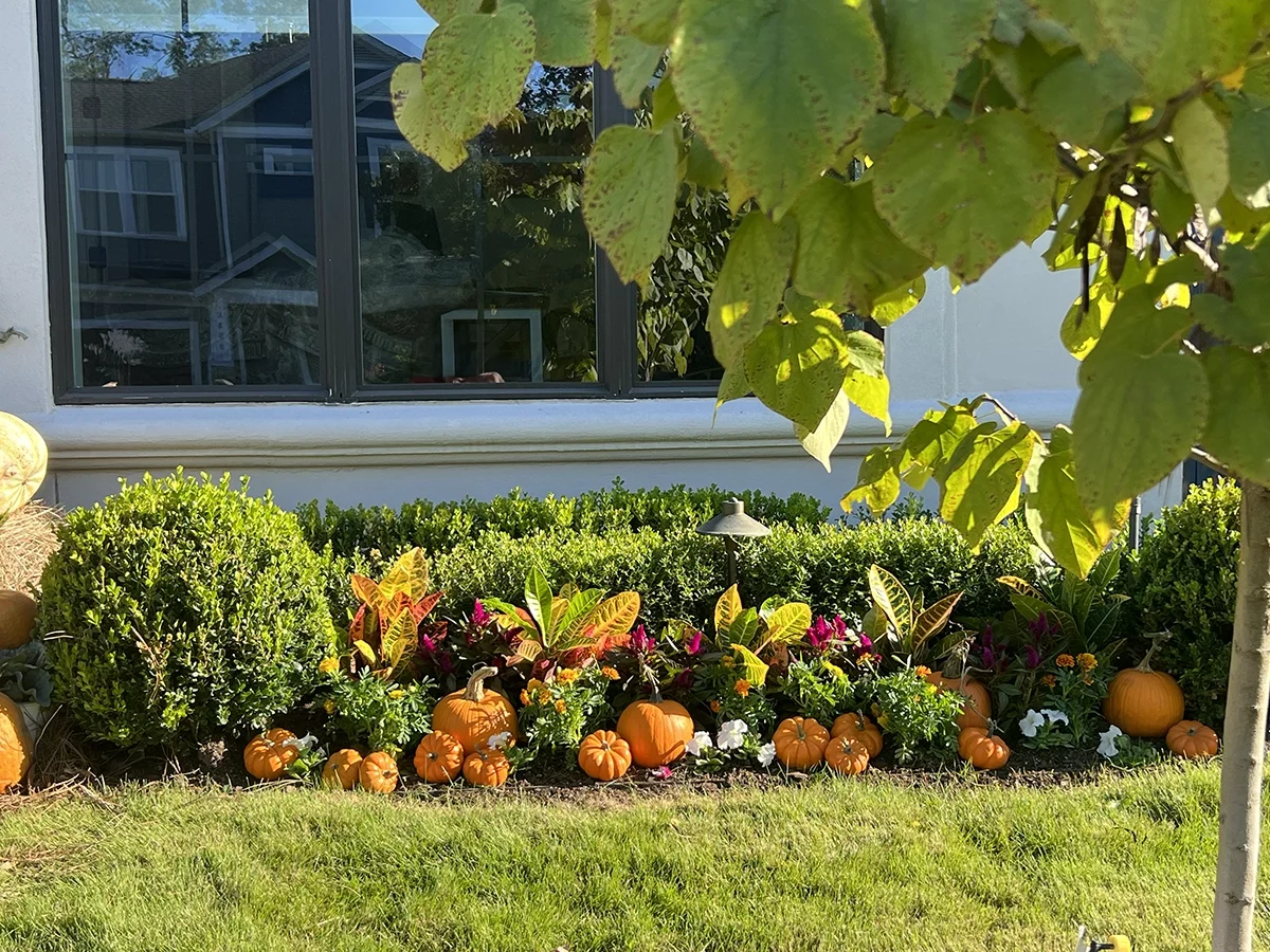 IMG_2091.webp