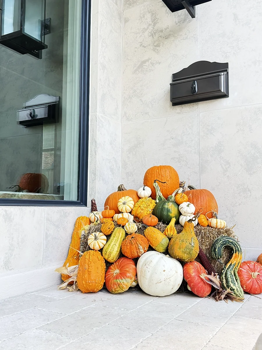 !!Fall 2025_3706 copy.webp