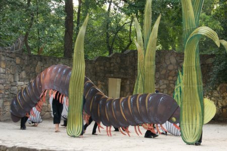 iaai_04_centipede_49739593288_o.jpg