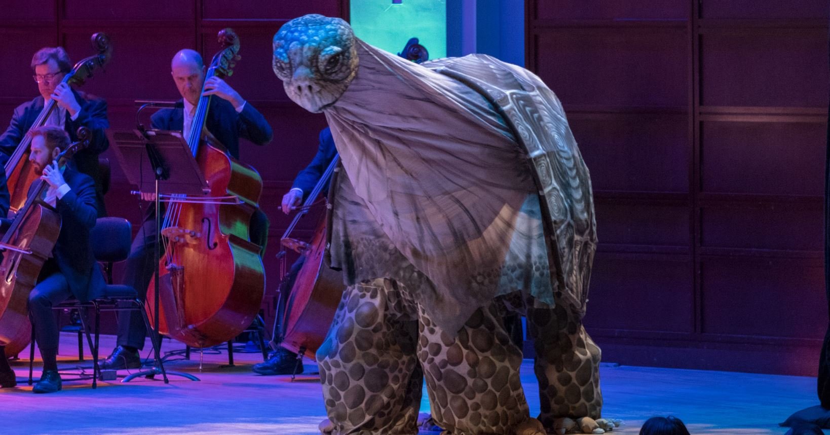 From our 2023 Performance of The Carnival of the Animals with the NC Symphony