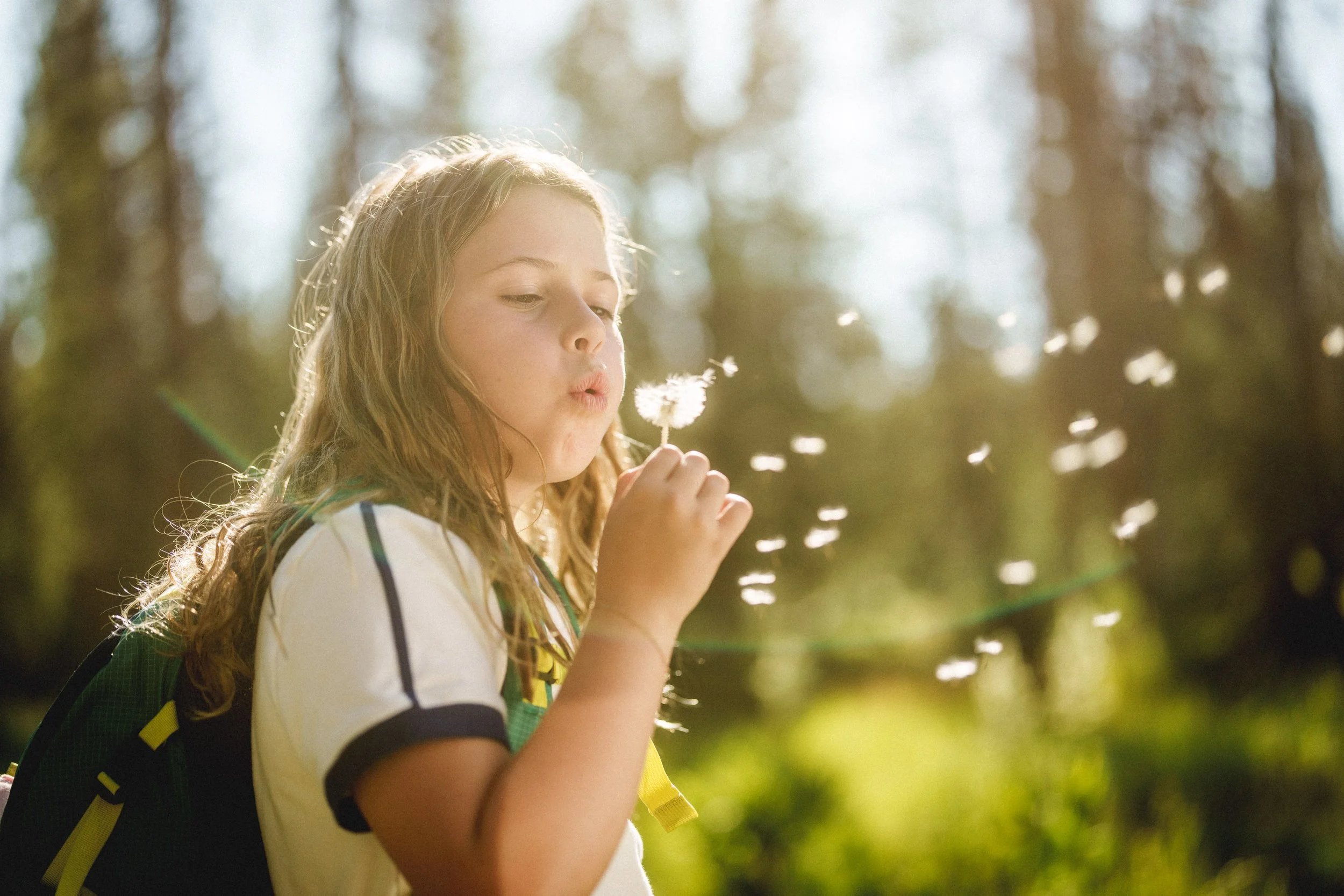 A young girl blowing on a dandelion in a sunlit forest or park.