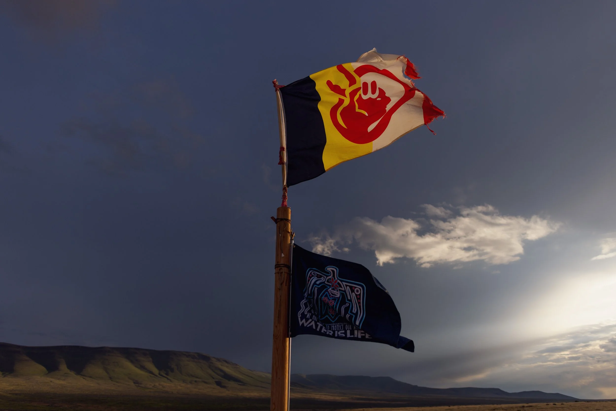 Two flags on a wooden pole against a landscape with hills and cloudy sky, one flag has a red fist on a white and yellow background, the other has a dark background with a water protection emblem and the words 'Water is Life'.