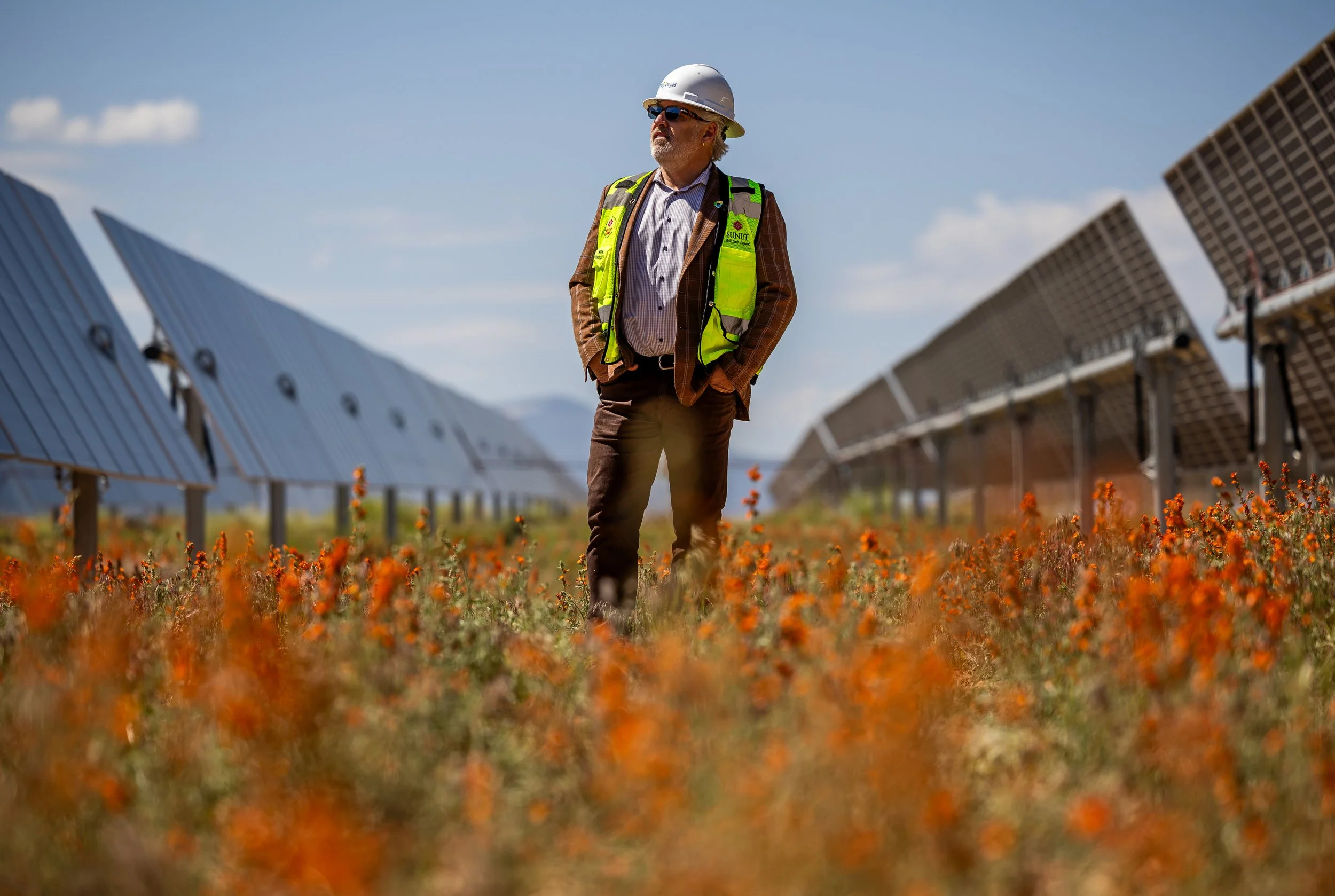 Man in safety vest and hard hat walking through a field of orange flowers with solar panels in the background on a sunny day.