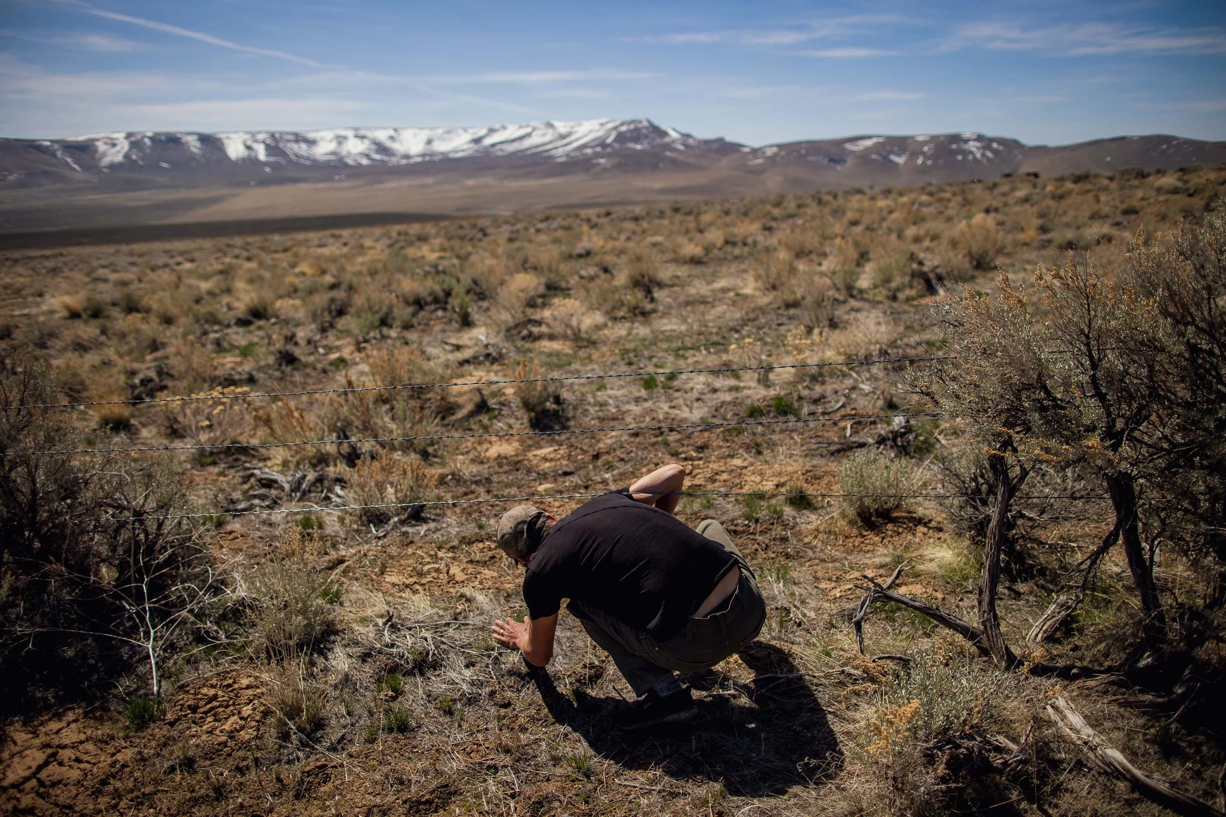 A person crouched down measuring a barbed wire fence in a dry, open desert landscape with mountains in the background.