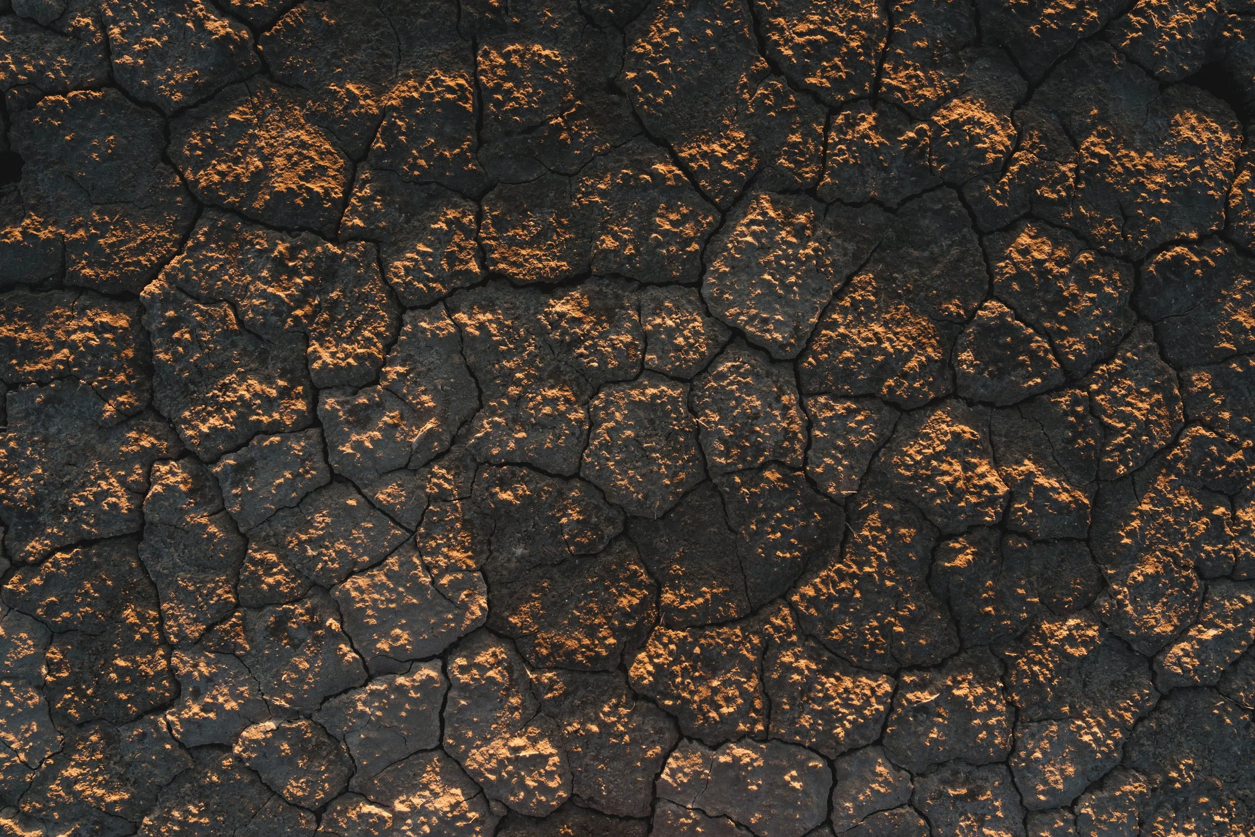 Close-up of cracked and burnt black soil with hints of orange highlights.
