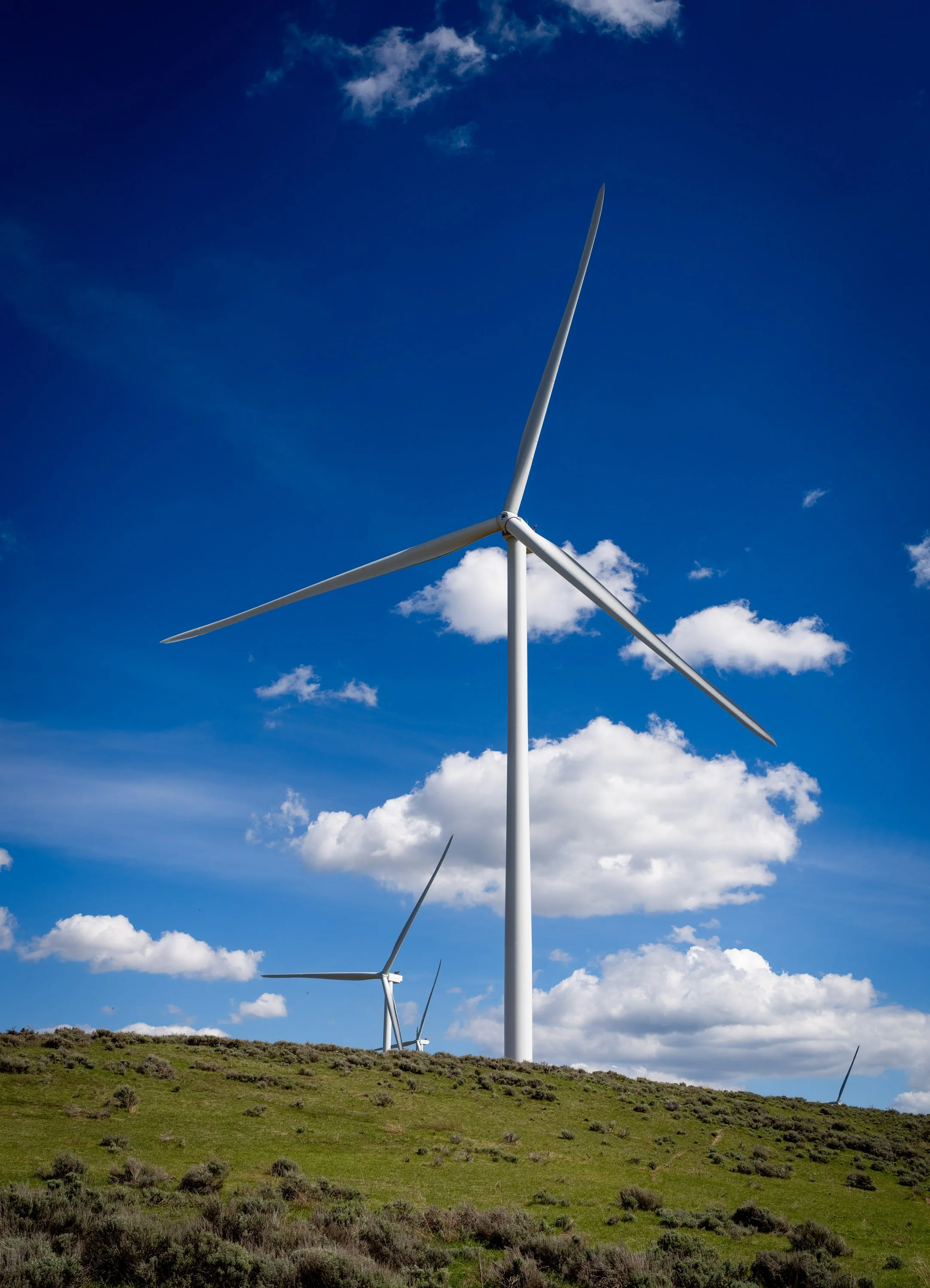 A landscape with wind turbines on a grassy hill against a bright blue sky with scattered white clouds.