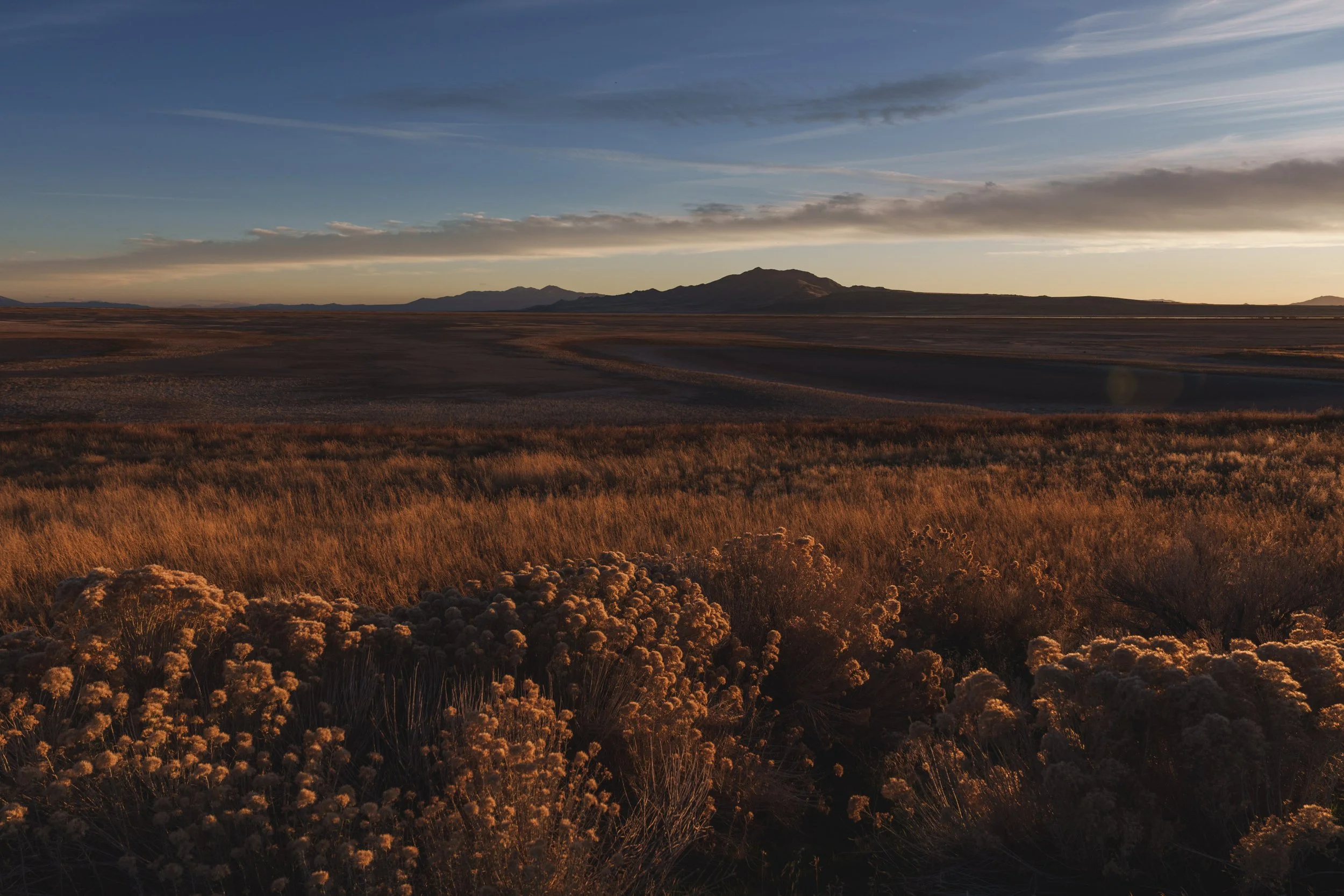 Sunset over a vast desert landscape with low shrubs and mountains in the distance.
