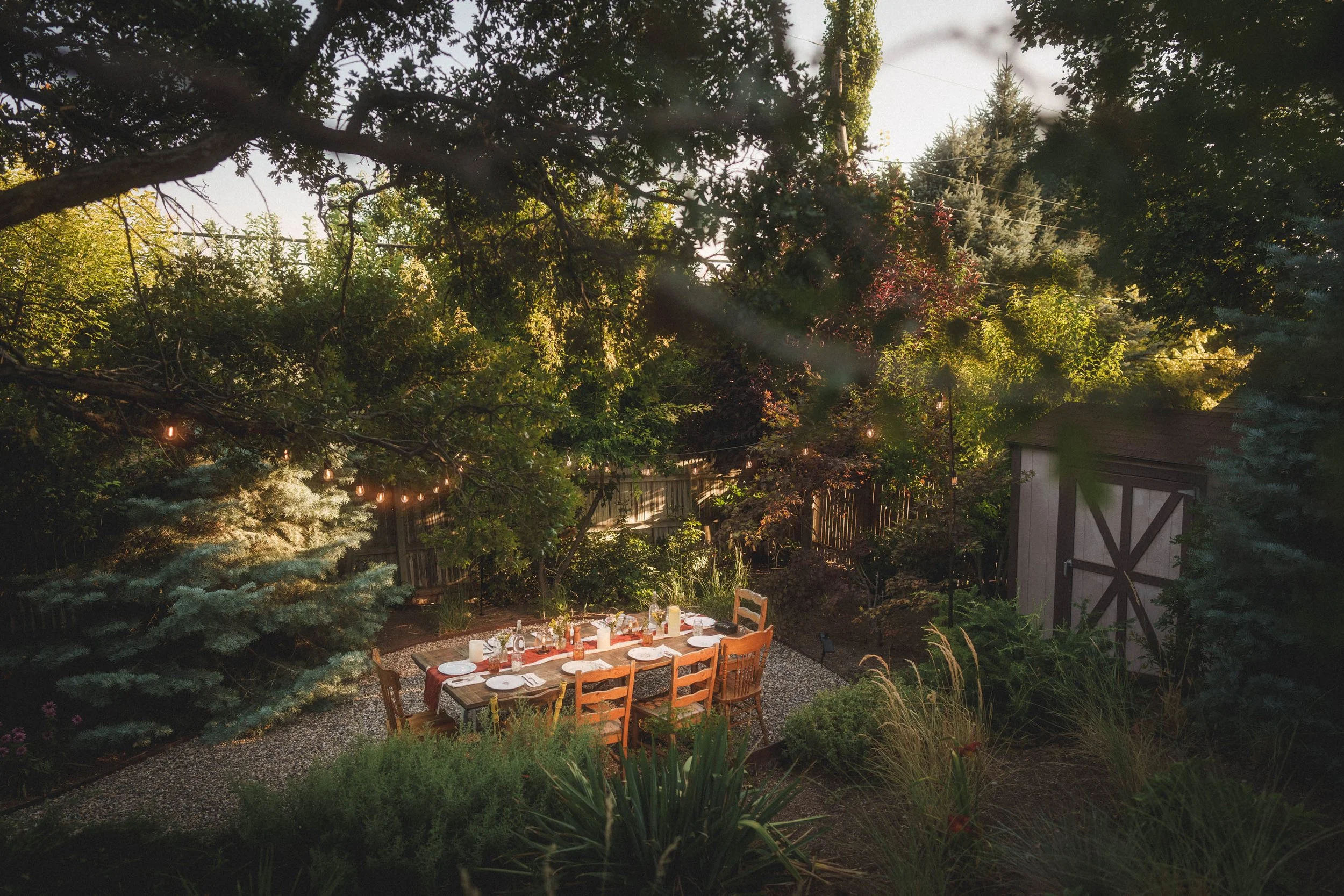 A backyard scene with a dining table set for a meal surrounded by trees and plants, with string lights hanging across the yard.