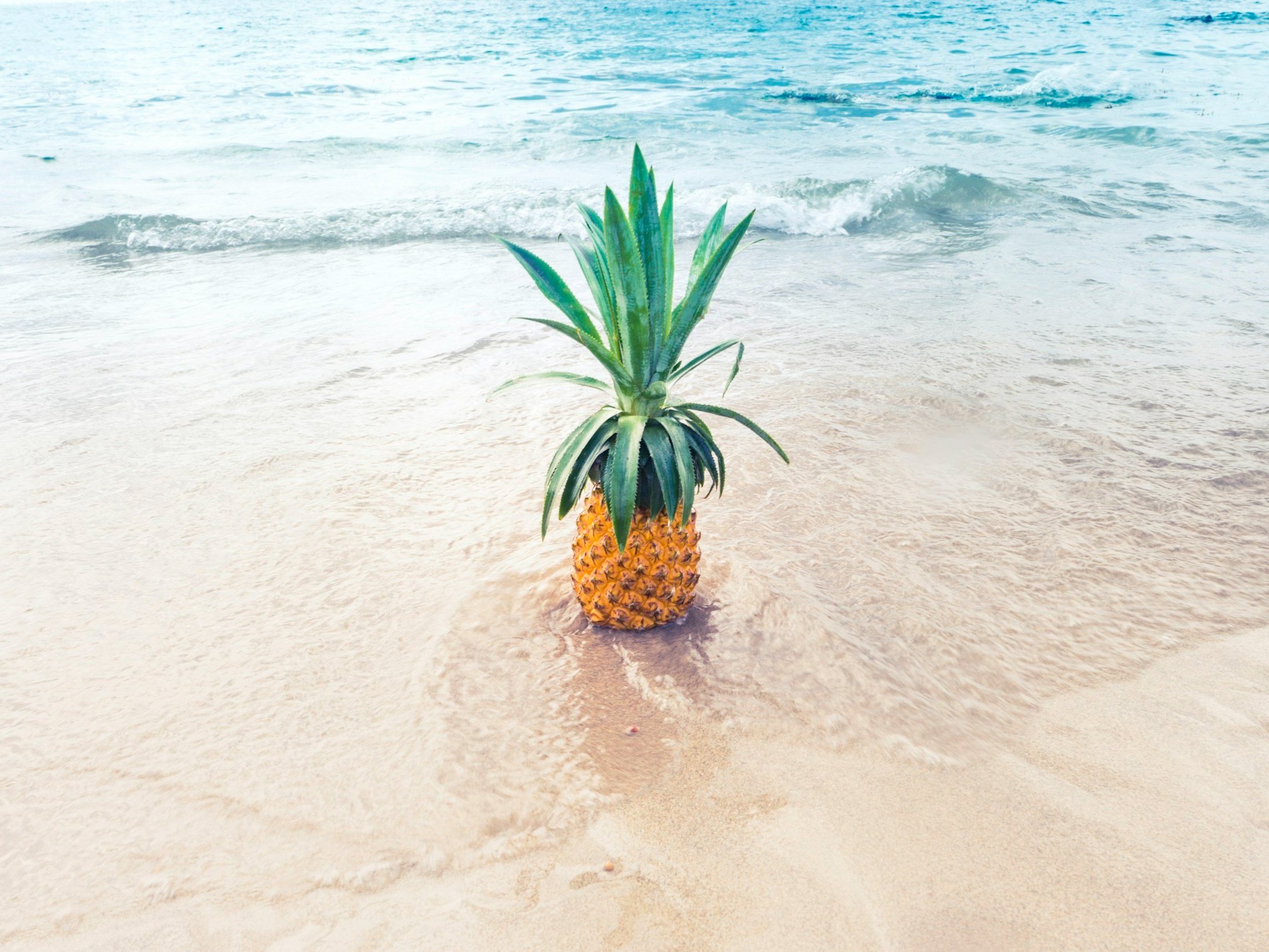 unsplash-image-U_D5NWMmTTM.jpg