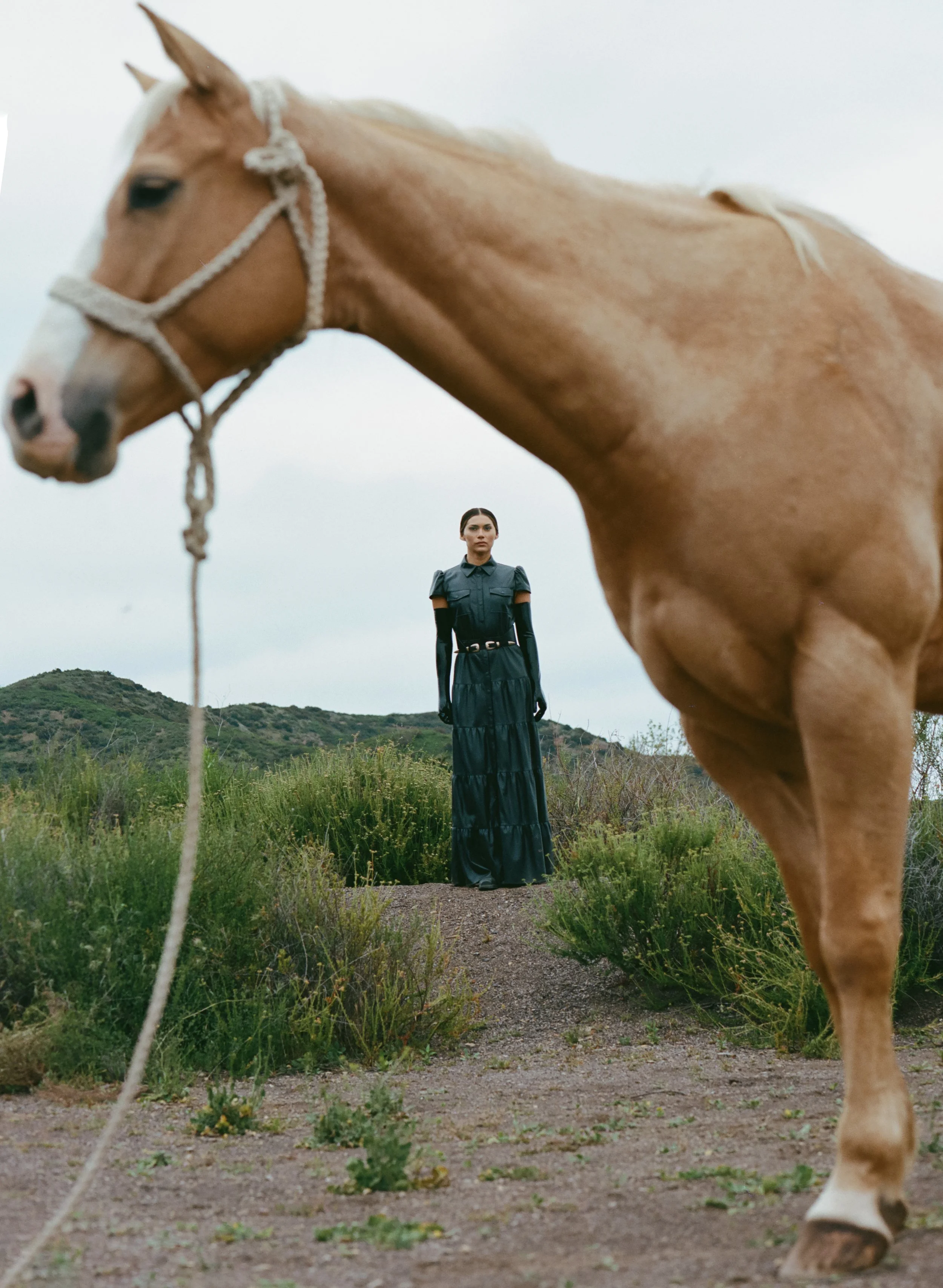 000037320004 copy 2.jpg