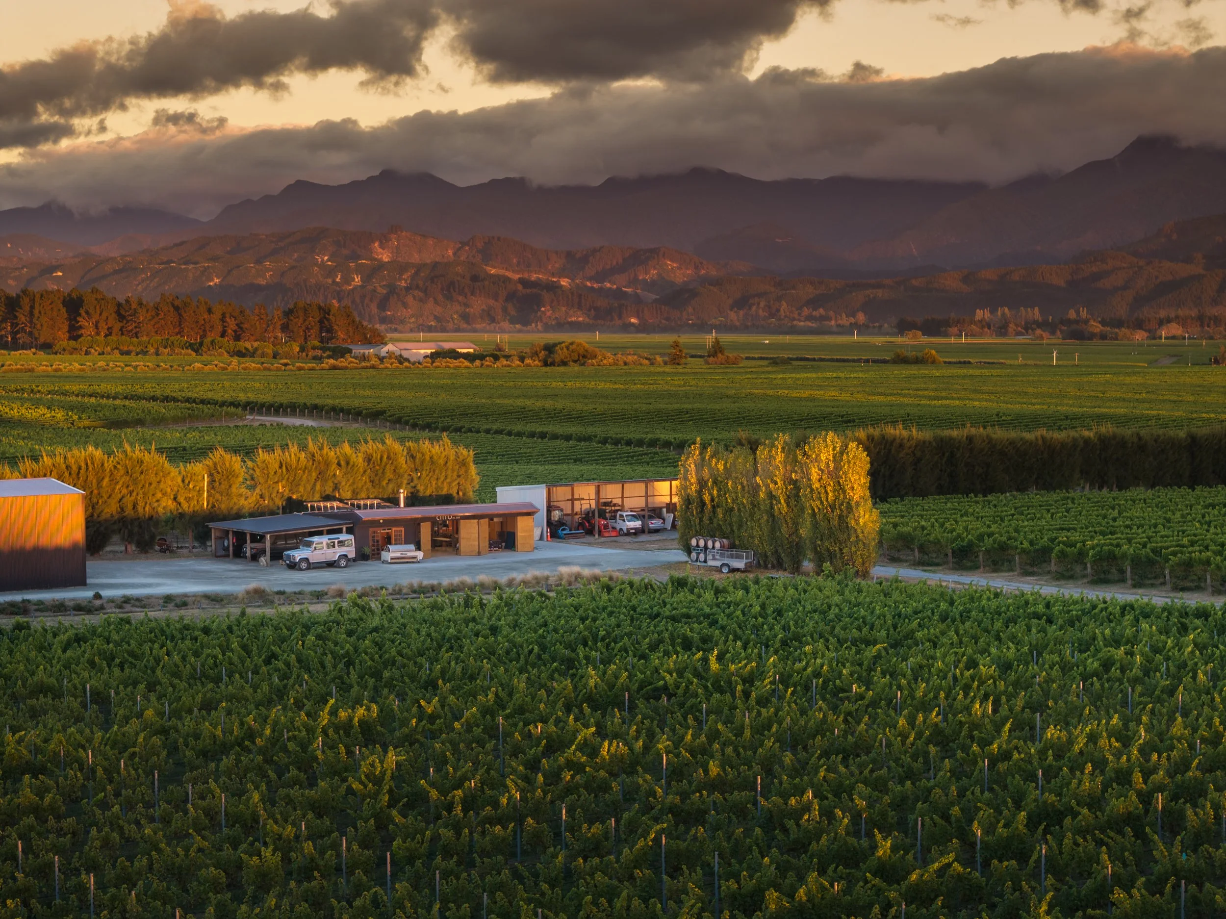 Cirro_JTP©-1 (1).jpg