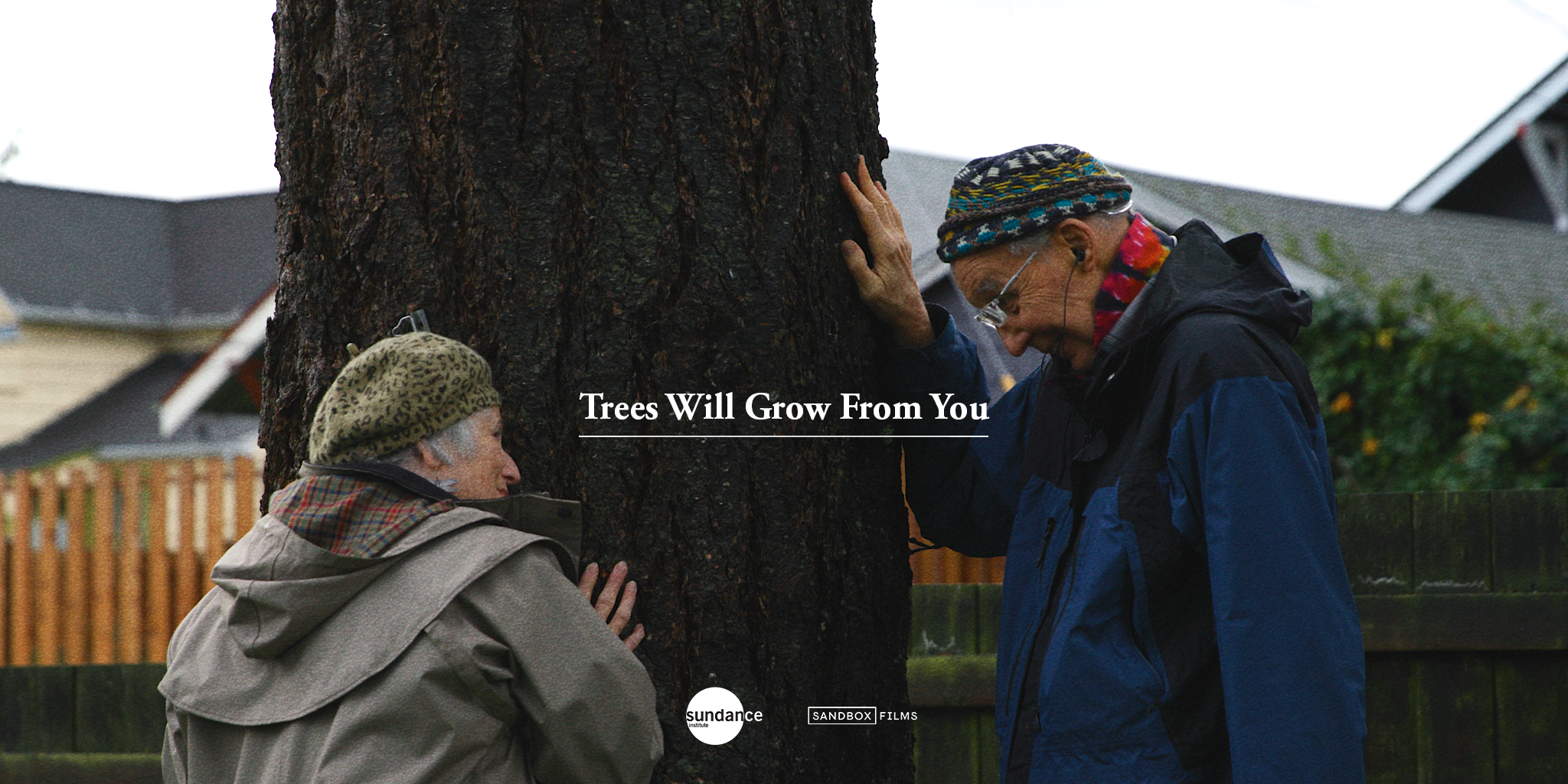 trees will grow from you
