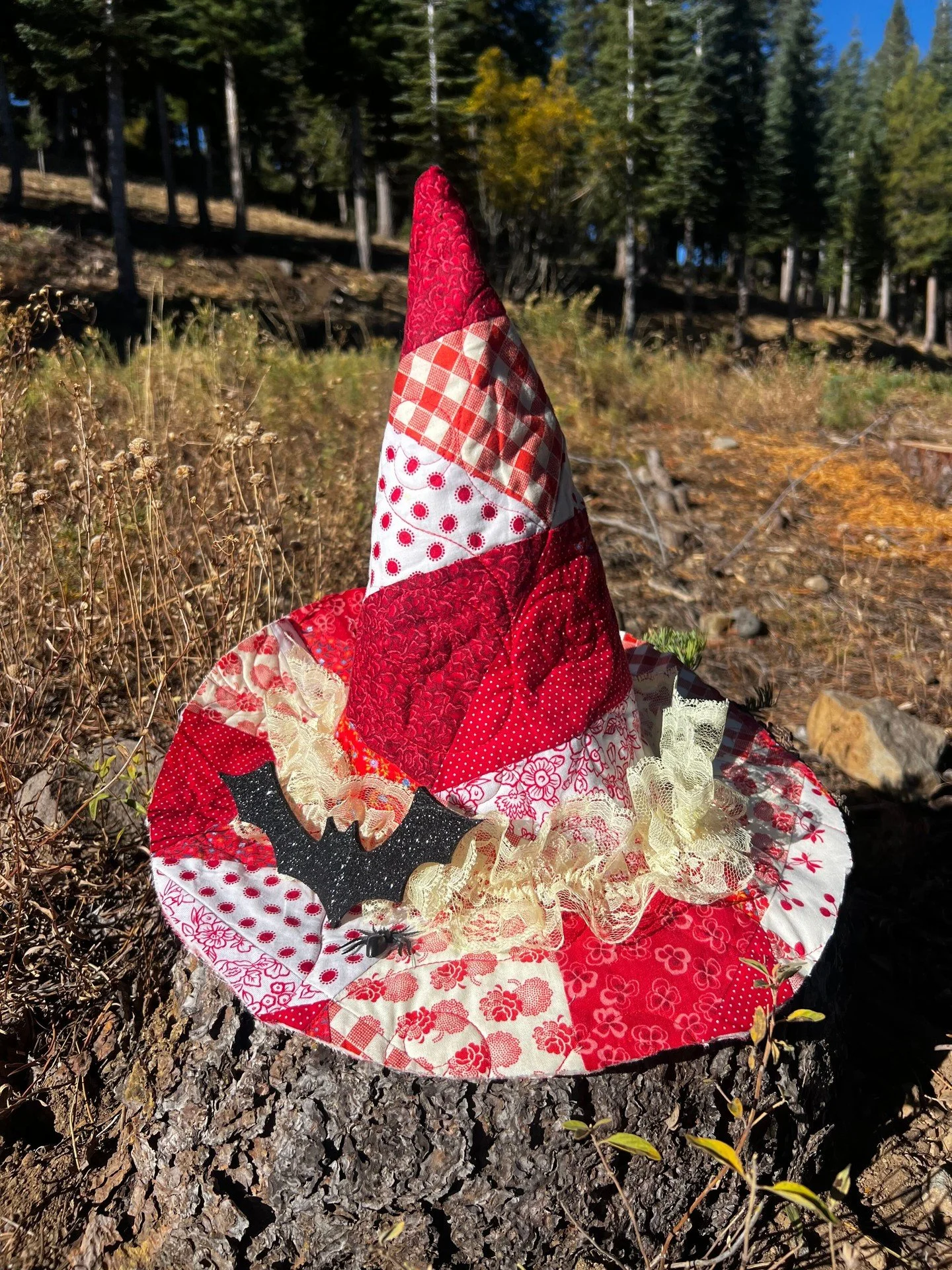 Get into the Halloween spirit by creating your very own fabric witch&rsquo;s hat with sewist and costume designer, Bella, on October 15th! 

Create a whimsical witch's hat using recycled quilts and other fabrics. Play with colors, patterns, and textu