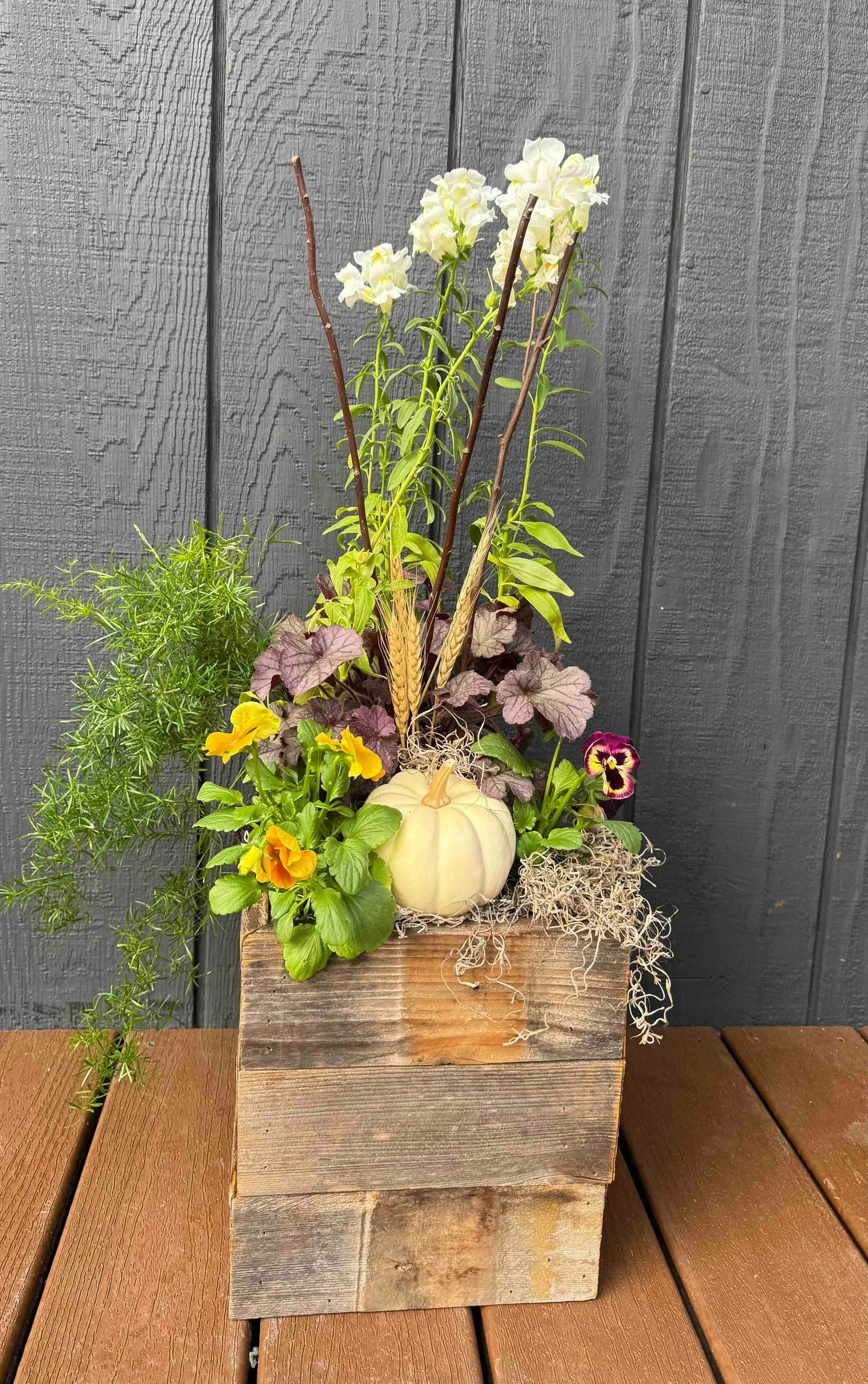Let's welcome fall with plants! Join us on Sunday, October 18th from 5pm - 7pm to create your own 10" reclaimed wood planter filled with cool-season plants and beautiful natural touches like branches, moss, and other decorative elements.

Our fr